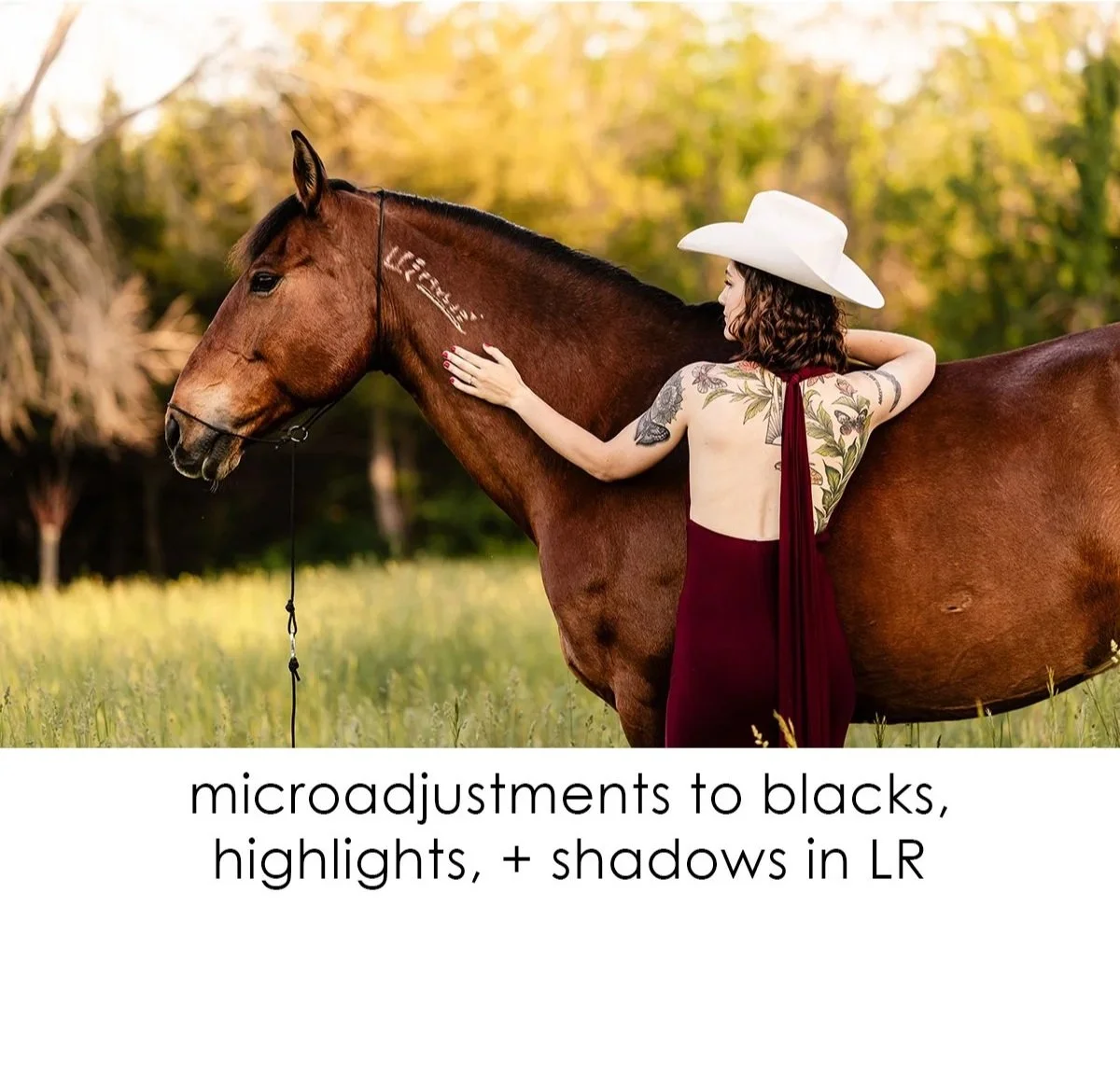 5-microadjustments+to+shadows-highlights+whites-blacks-1.jpg