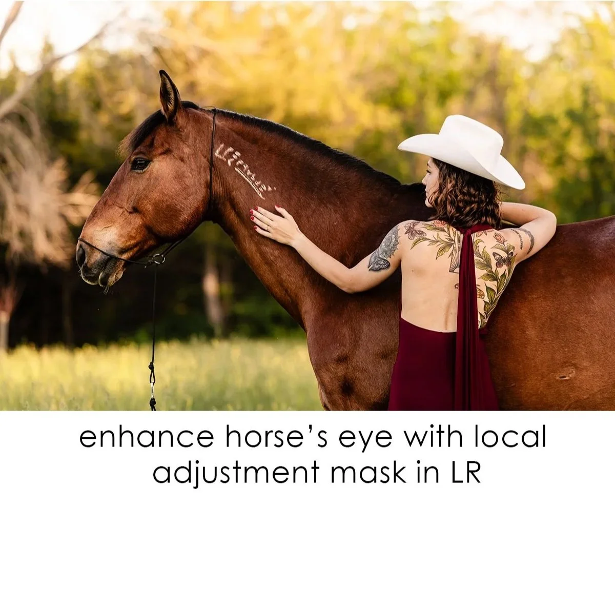 9-eye+enhance+on+horse-1.jpg