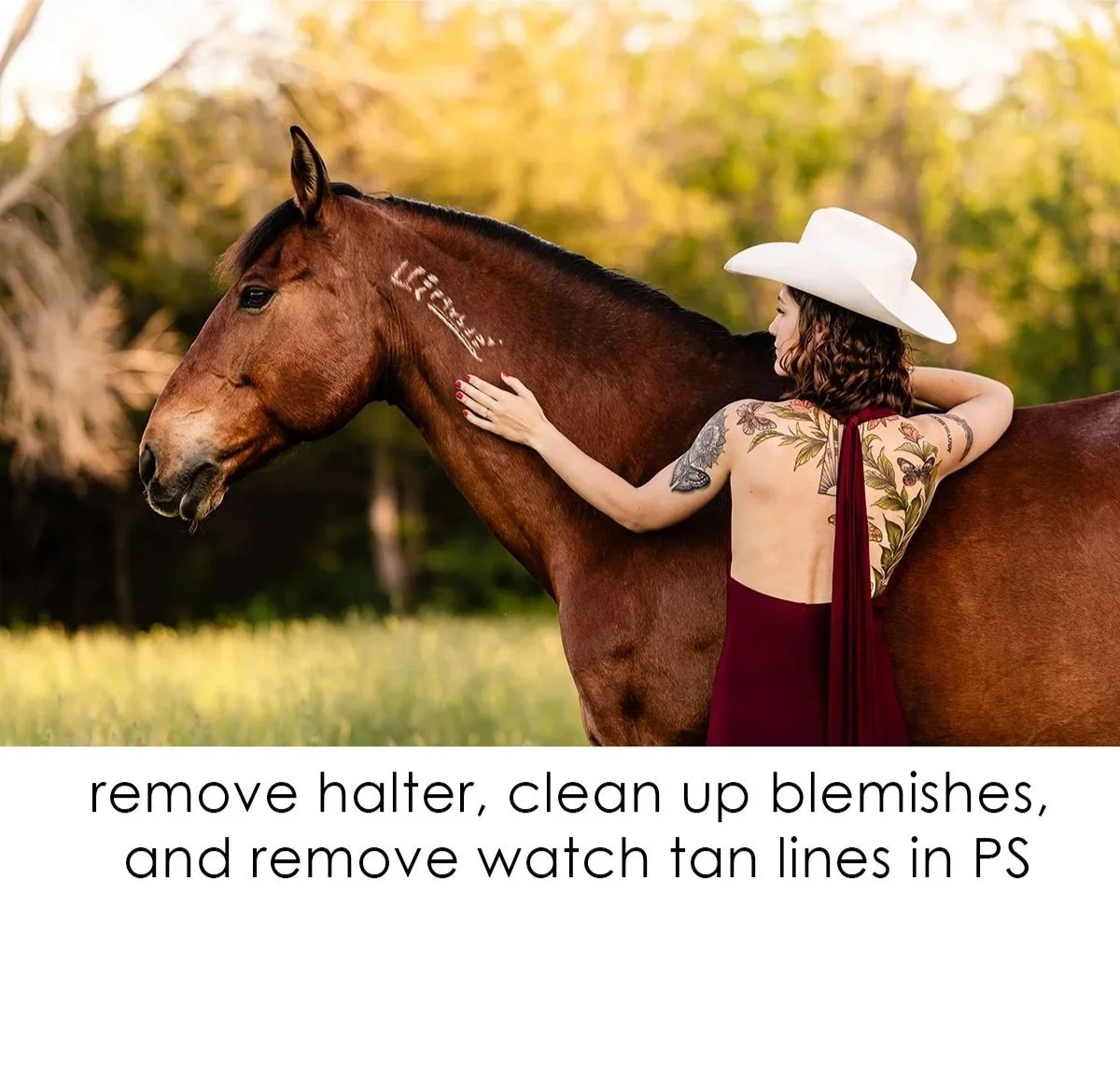 10-blemishes%2C+halter%2C+bugs%2C+watch+line-1.jpg