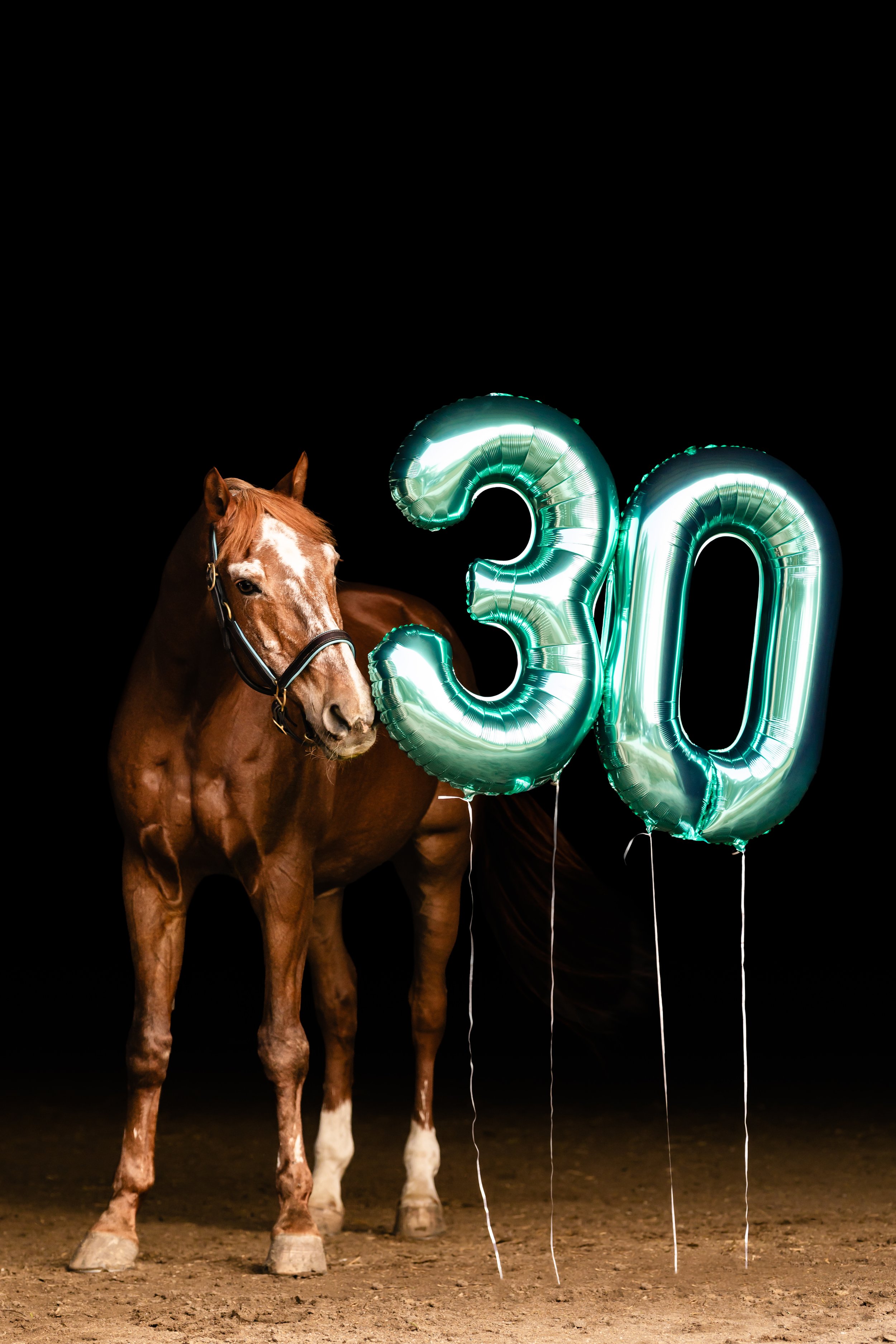 A chestnut horse standing on a dirt ground at night, with two illuminated silver balloons shaped as the number 30, celebrating a 30th birthday or anniversary.