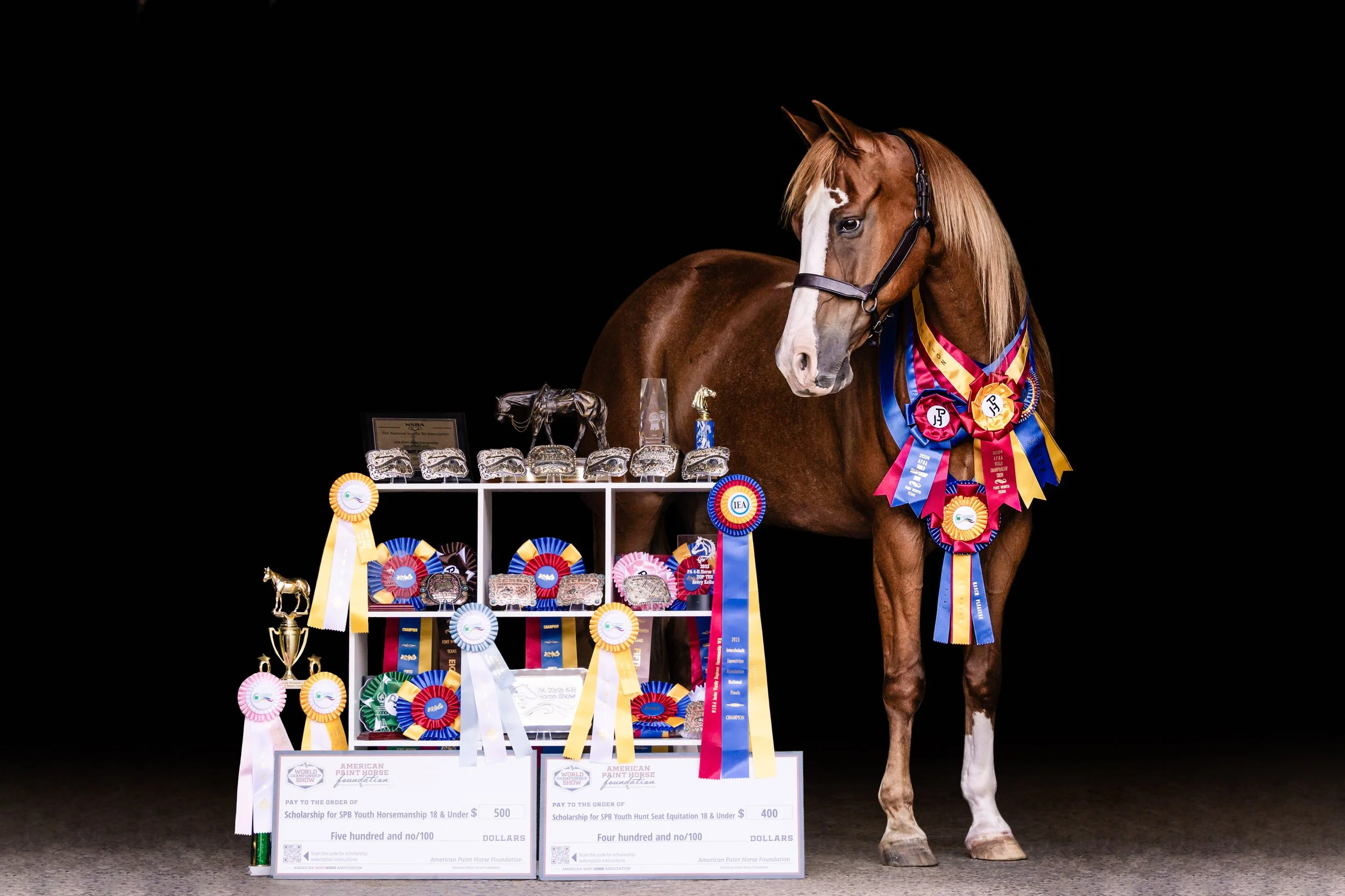 A brown horse with a white face stands next to a display of various awards, ribbons, trophies, and plaques on a black background. The horse is decorated with multiple colorful ribbons around its neck.