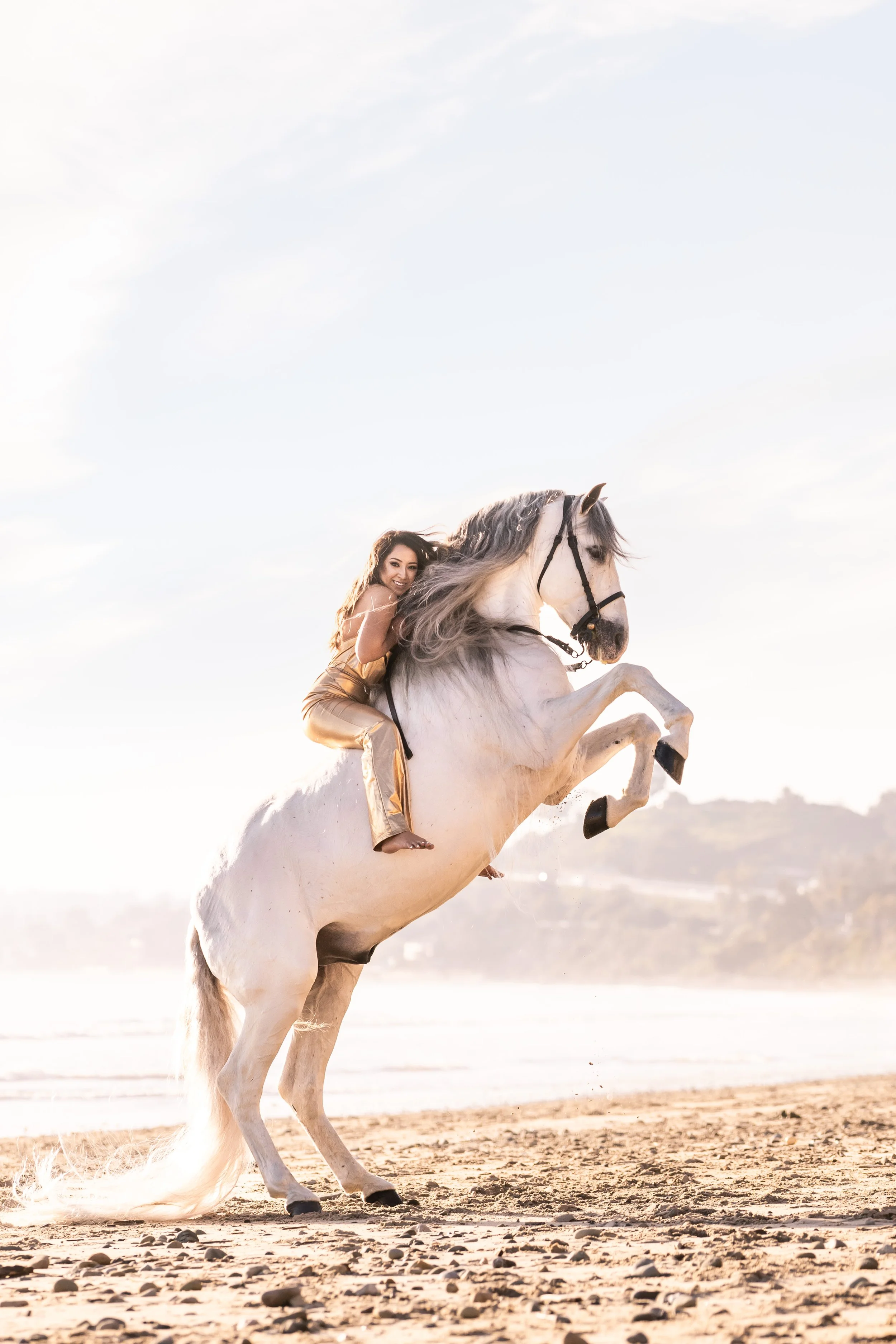 A woman riding a rearing white horse on a beach at sunset.