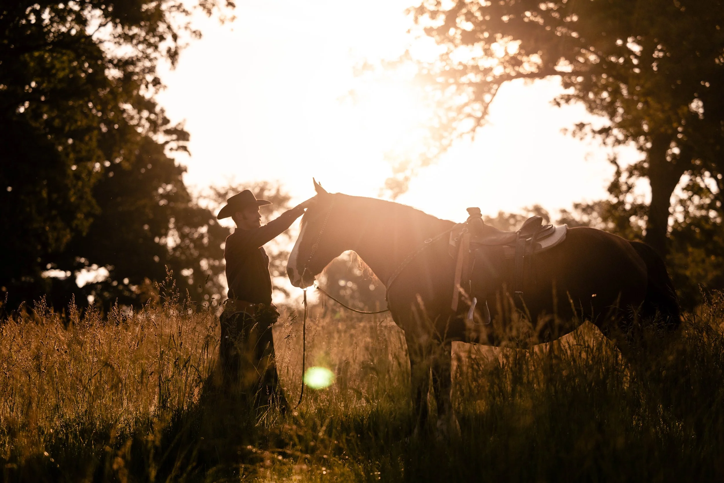 A person in western attire with a cowboy hat standing in a field at sunset, gently touching a horse's head.