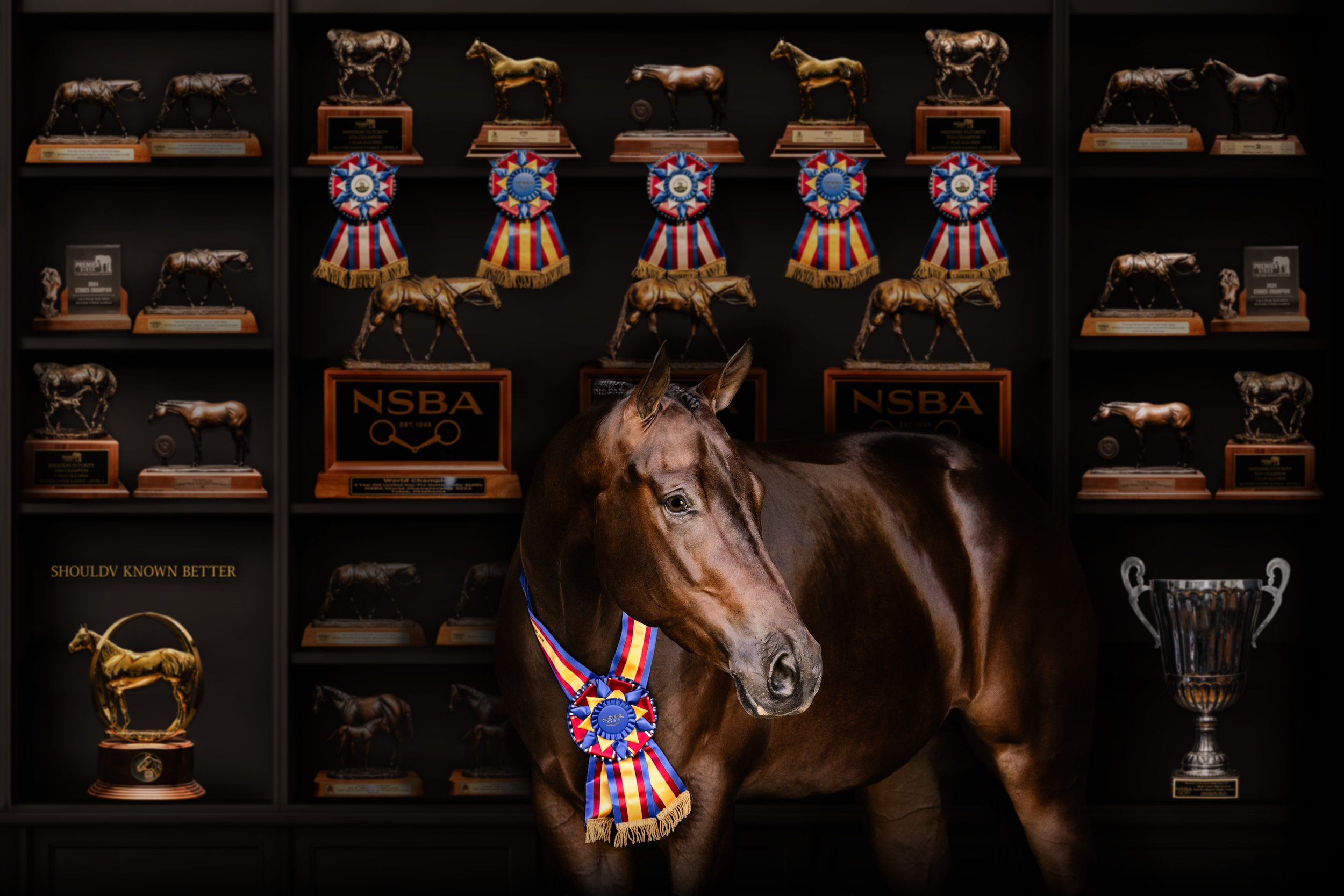 A brown horse with a colorful ribbon and medal around its neck, standing in front of shelves filled with various trophy awards and medals, including trophies shaped like horses and a large silver cup.