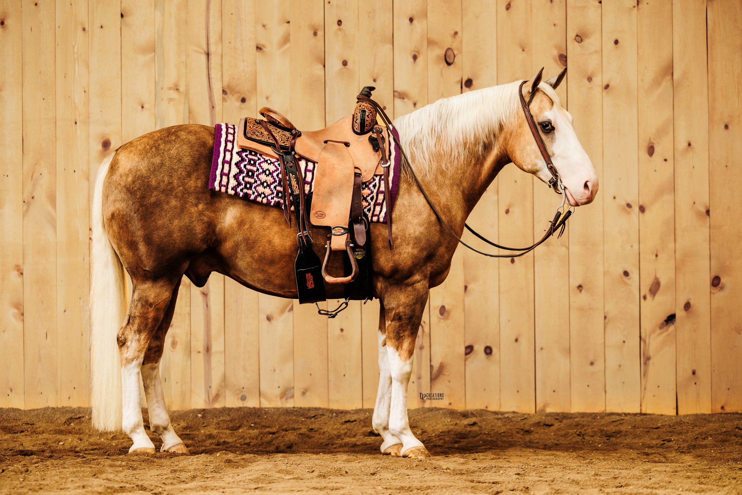 A palomino horse with a white mane standing on a dirt floor in front of a wooden wall, equipped with western riding gear including a saddle with a decorative saddle blanket.