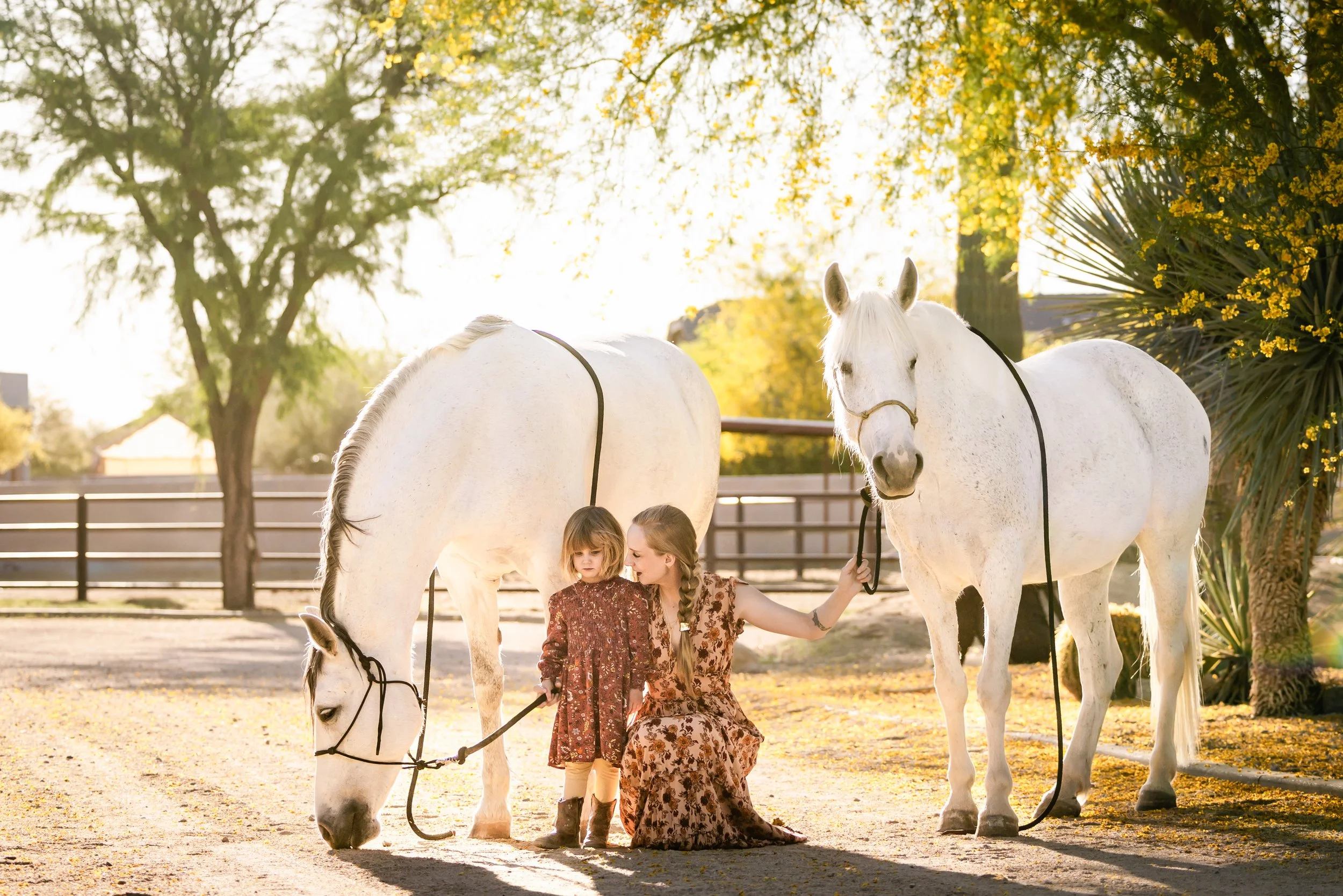 A woman and a girl with two white horses in an outdoor setting with trees and fencing, during golden hour.