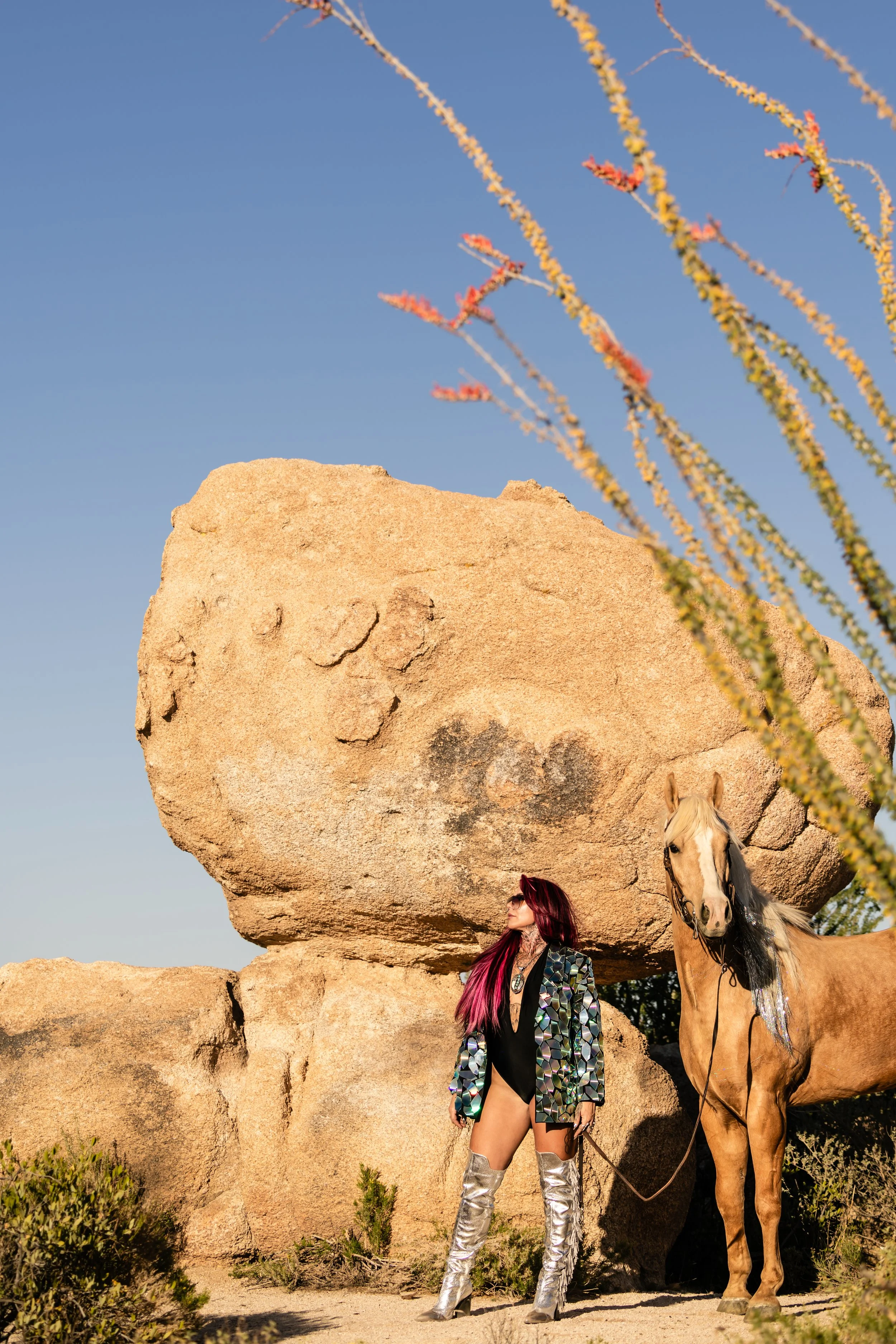 A woman with long pink hair wearing silver thigh-high boots, black bodysuit, and a shiny jacket standing next to a light-colored horse in a desert landscape with large boulders and sparse plants under a clear blue sky.