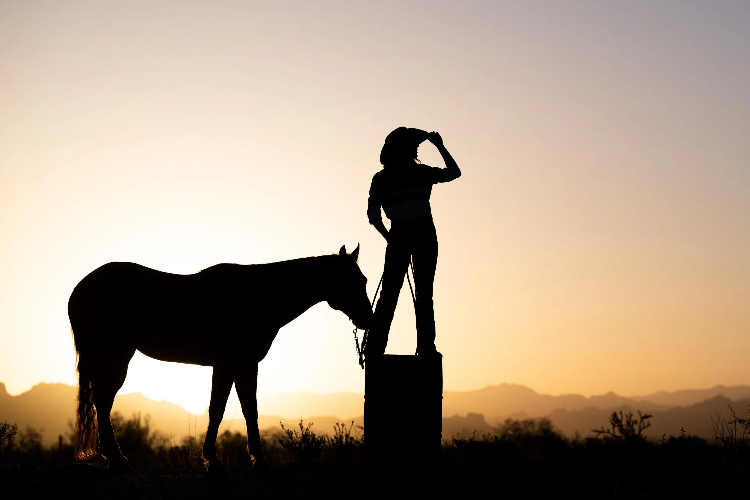 Silhouette of a woman with a cowboy hat standing on a platform, holding the leash of a horse, during sunset.