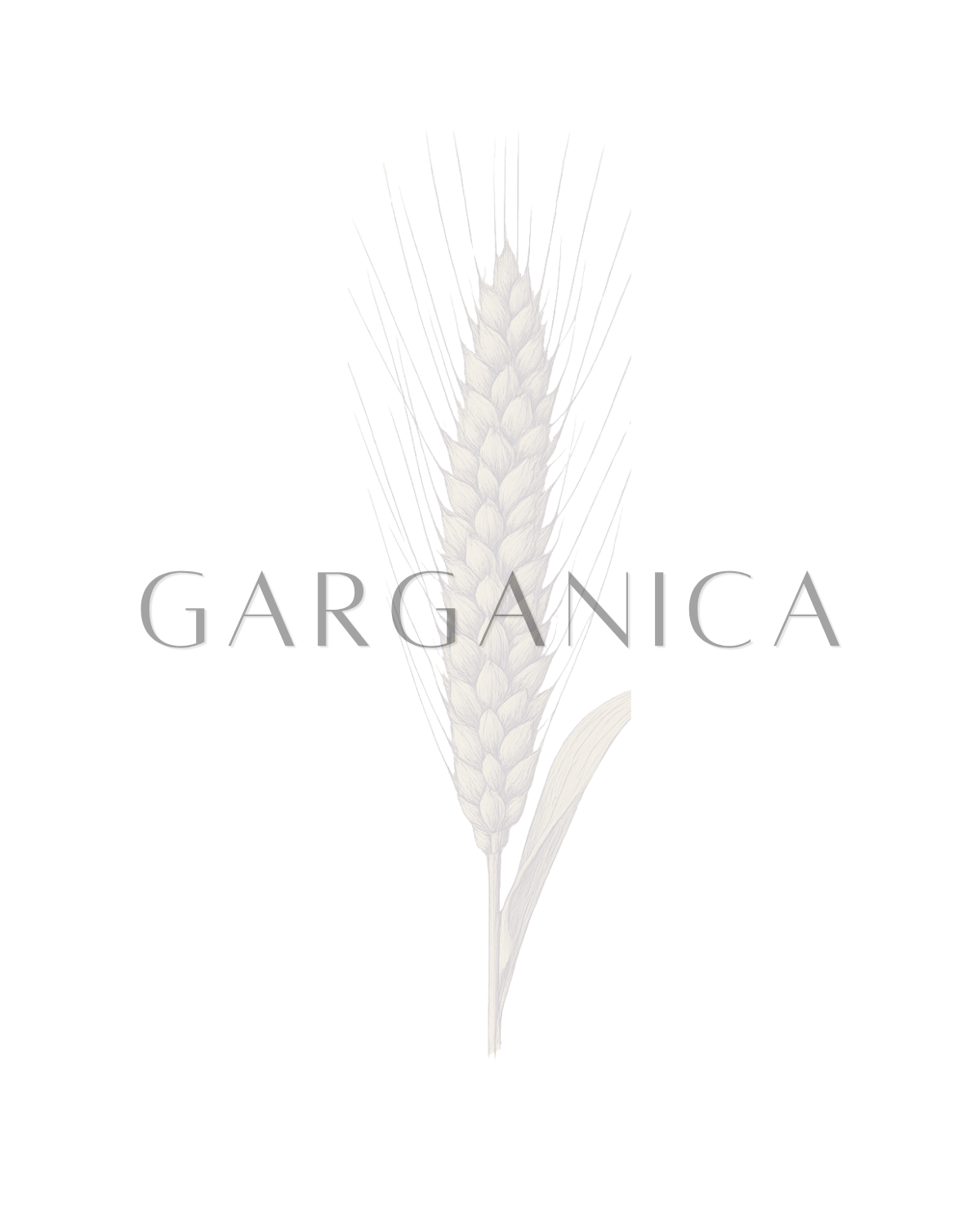 GARGANICA Wheat Berries-2.png