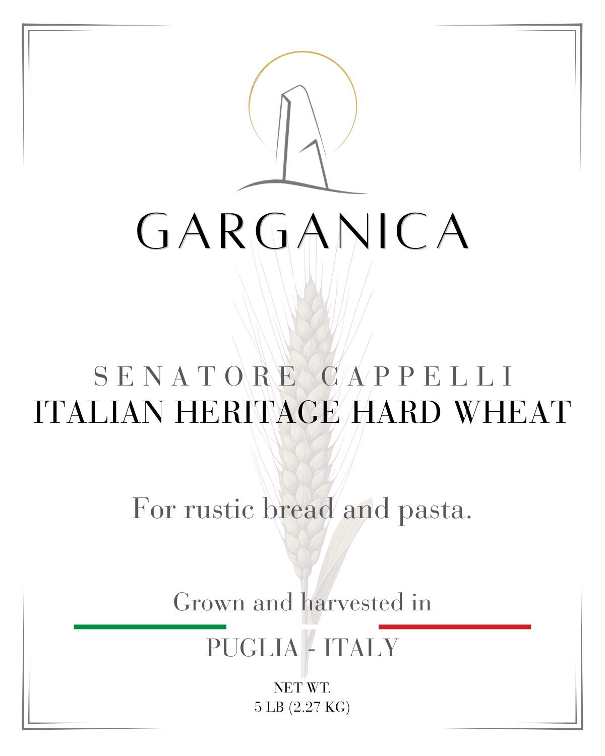 Wheat Berries - Hard Wheat Cappelli Grain (5 LB)