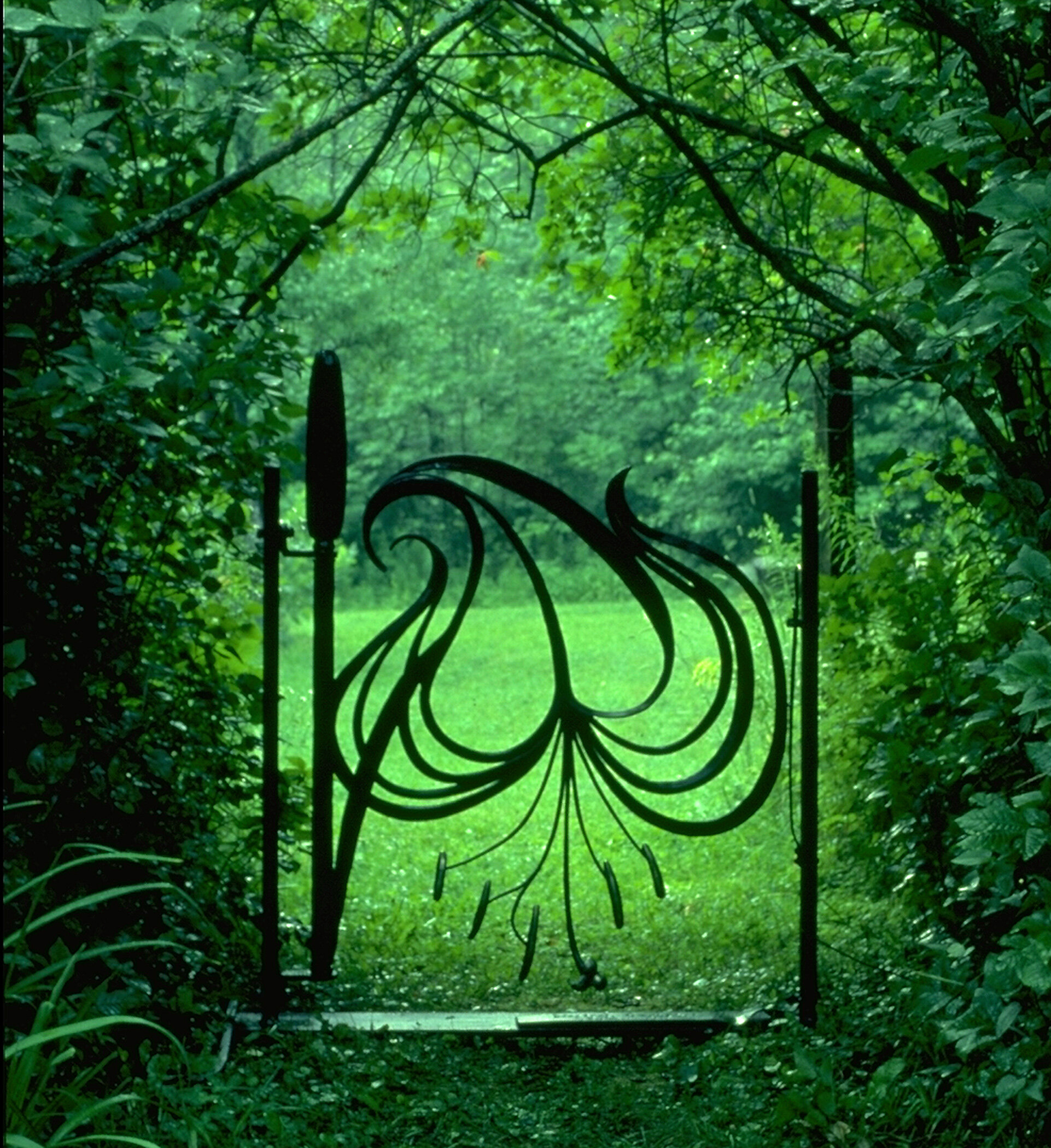 LILY GATE