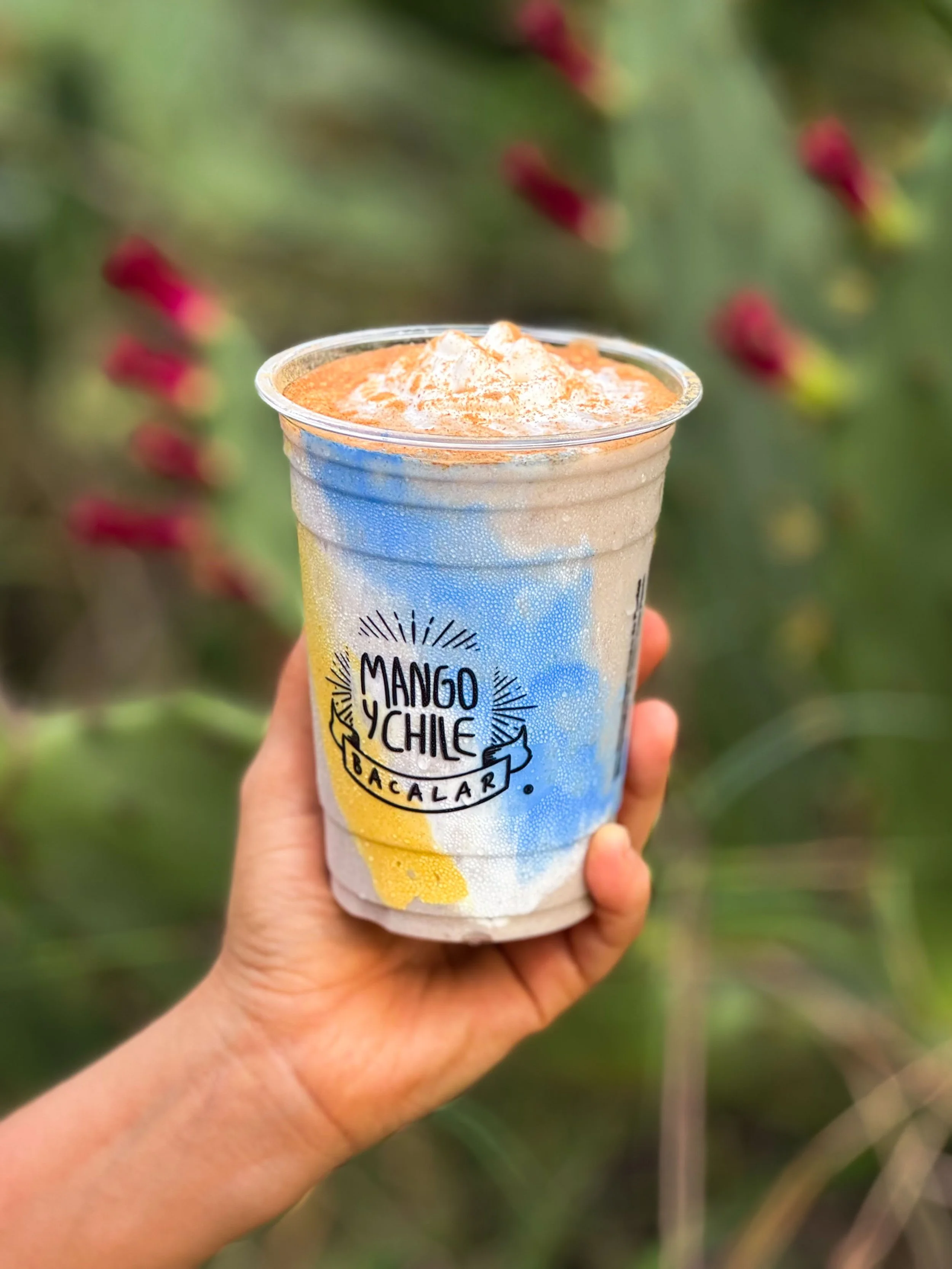 Vanilla Protein Shake