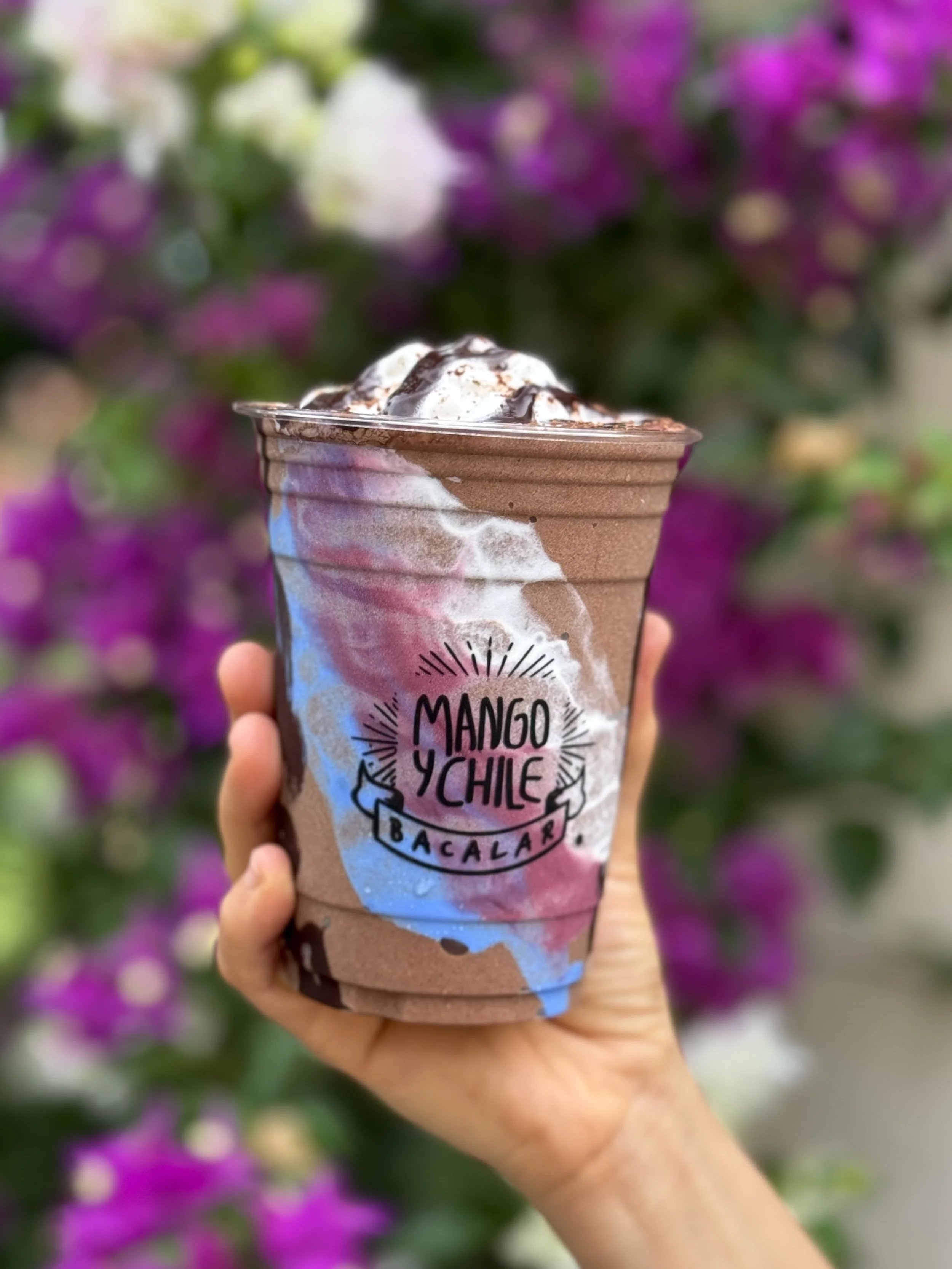 Chocolate Protein Shake