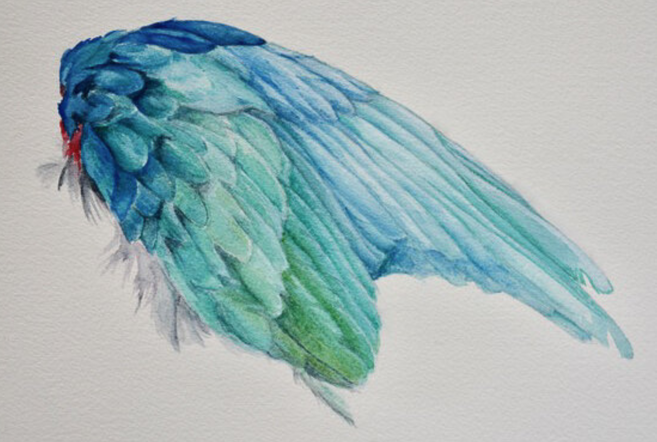 The Dime Store Angel | A New Decameron