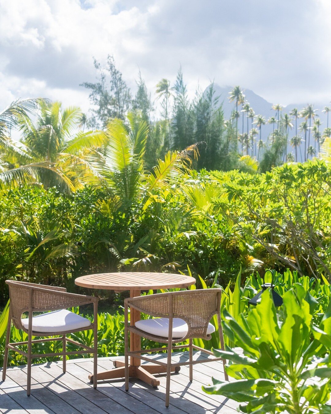 Perfect place for a rendez-vous under the coconut trees 🌴🌴🌴
.
.
.
.
#raiatea #privatemotu #tropicalparadise