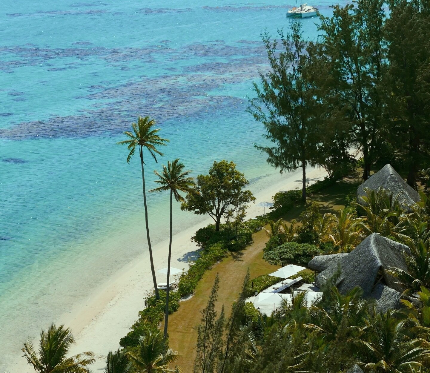 Lost in shades of blue and green, Motu Nao Nao island is an ode to the untamed beauty of nature.

#motunaonao #pacifictreasure #privateisland #luxurylifestyle #luxuryhomes #luxuryrentals