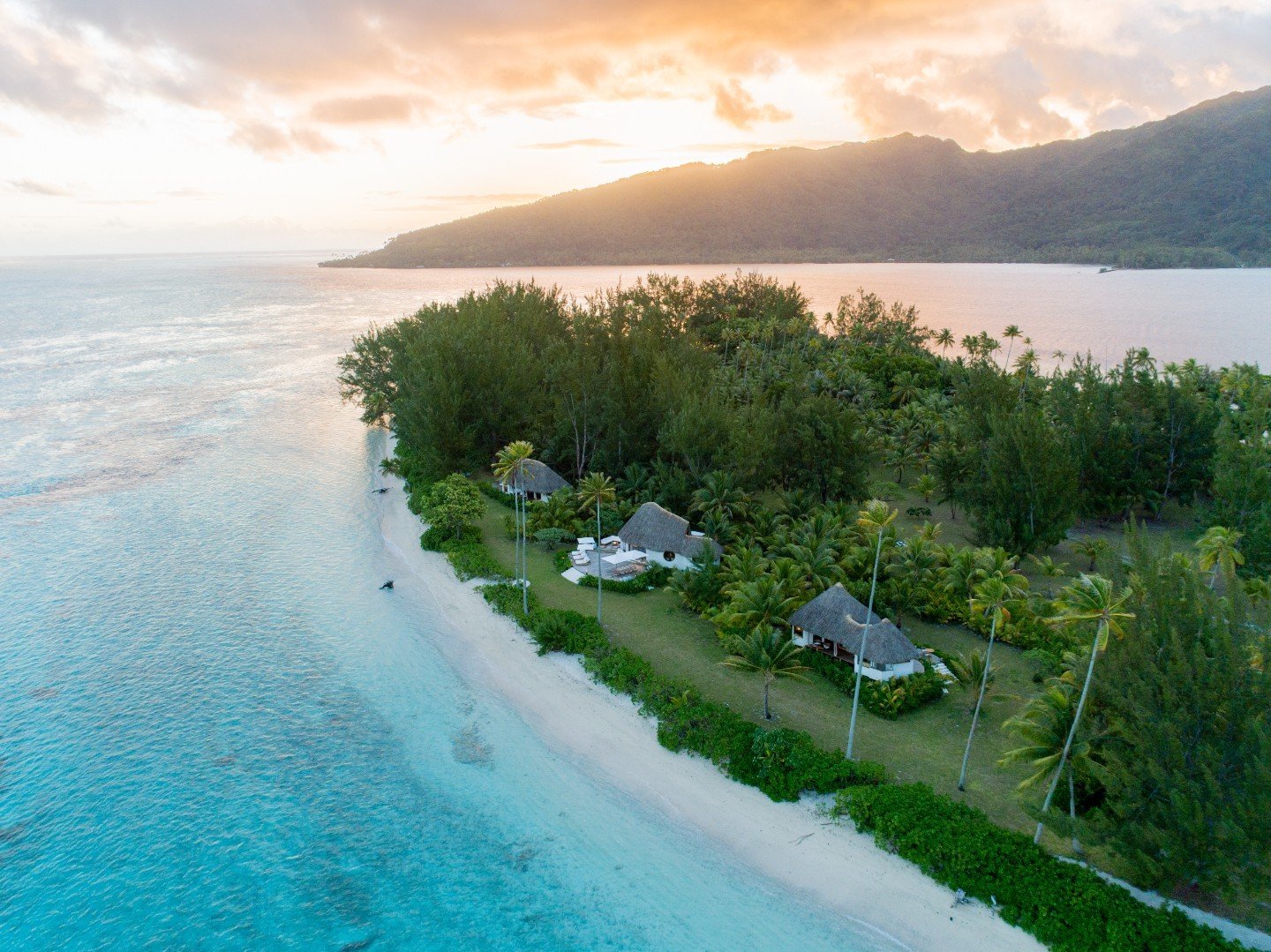 Welcome to Motu Nao Nao: Nestled within the sparkling lagoon of Raiatea lies our secret island, where three Polynesian villas harmoniously blend amidst swaying palms and exotic blooms. It's a haven where luxury meets nature in an enchanting dance.