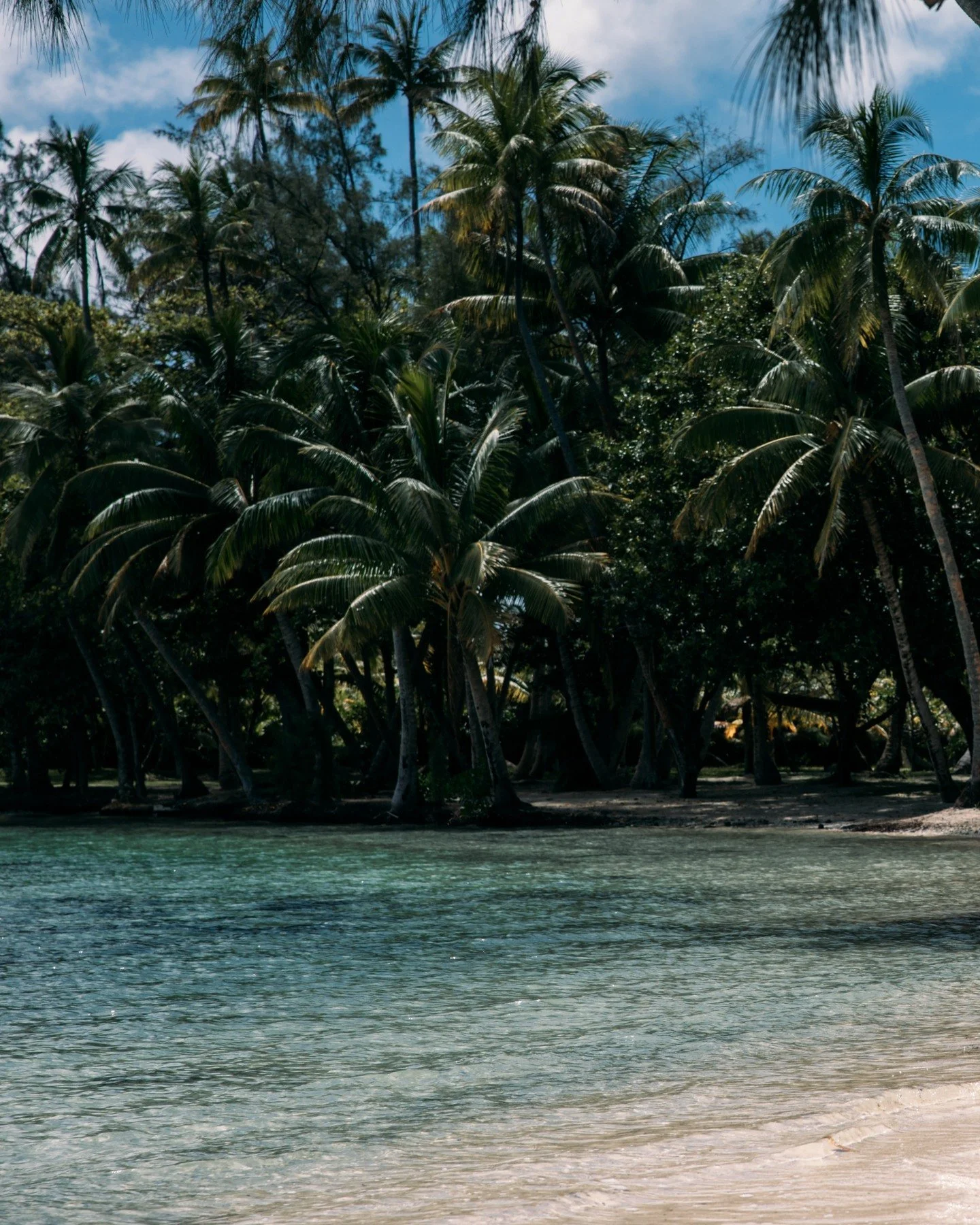 Barefoot freedom on untouched shores.
Photo credit : @tinihau.b
#island #frenchpolynesia #raiatea