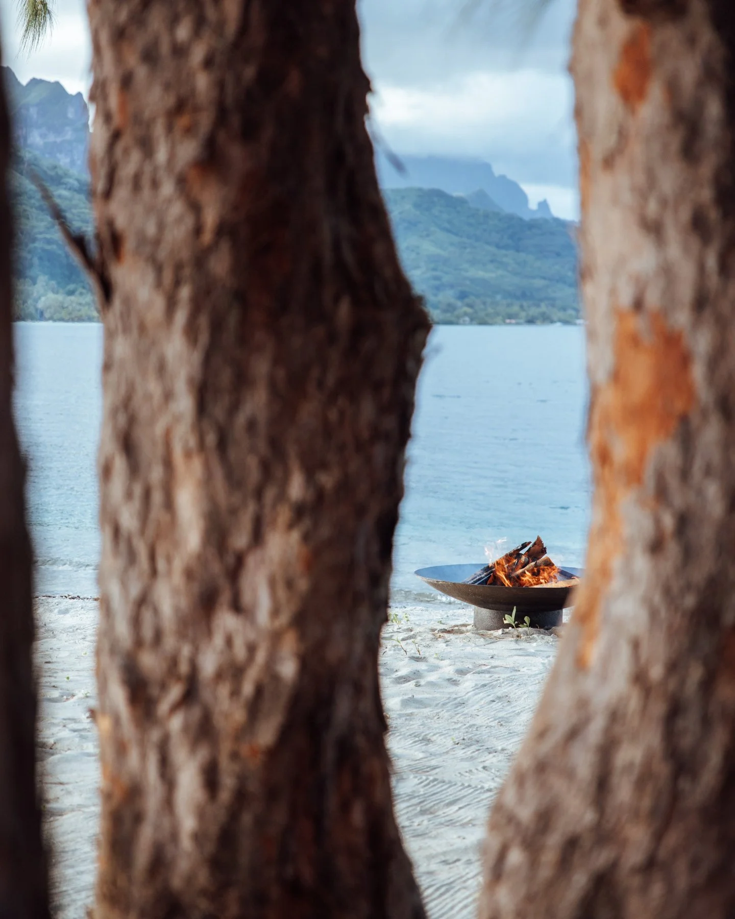Flickers of fire, whispers of time, echoes of ancient stories.
Photo credit : @tinihau.b
#island #frenchpolynesia #raiatea