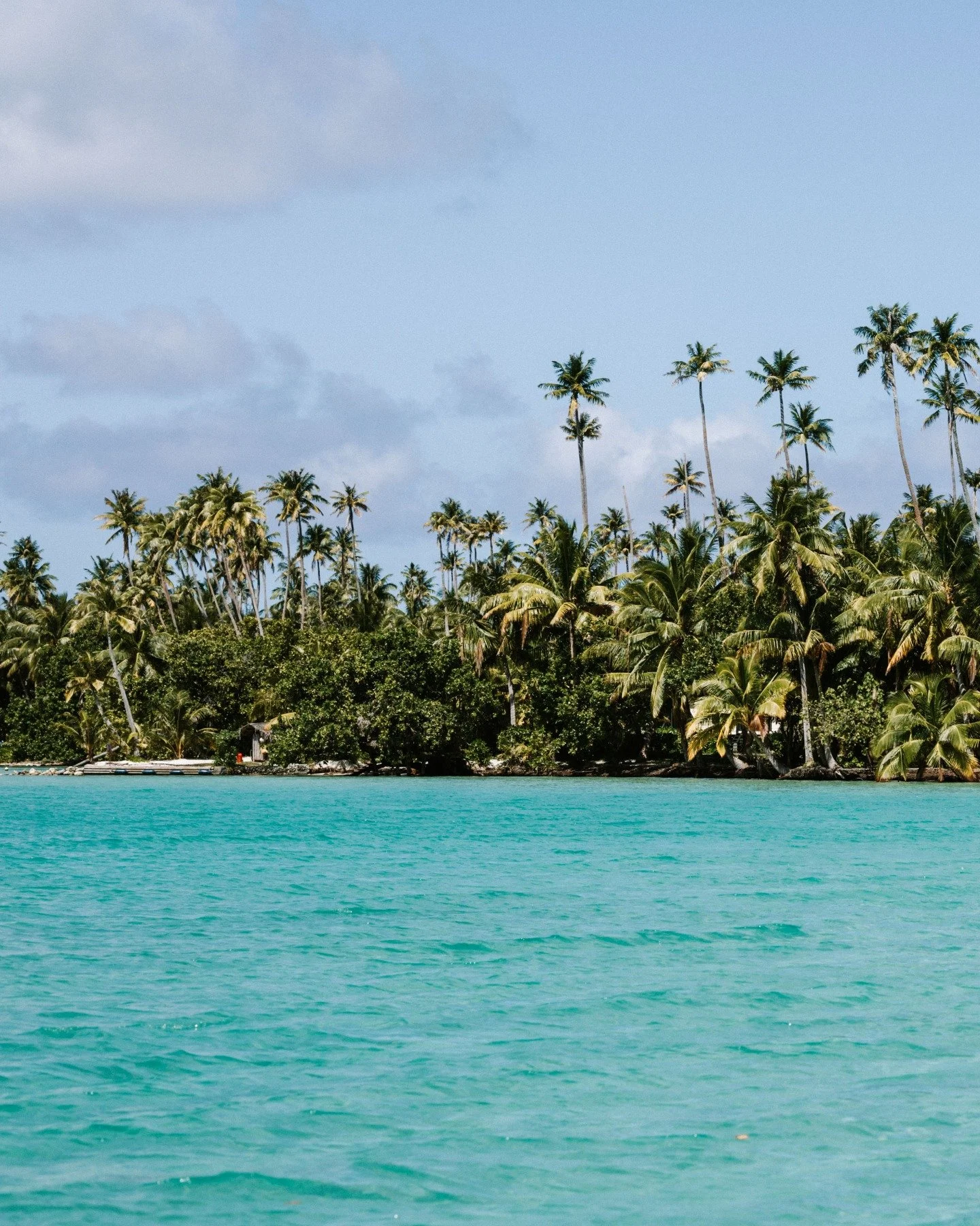 Every ripple carries a secret, every palm leans into the wind. Together they write the poetry of an island that feels like forever.
Photo credit : @tinihau.b
#Raiatea #SacredIsland #Mana #Polynesia