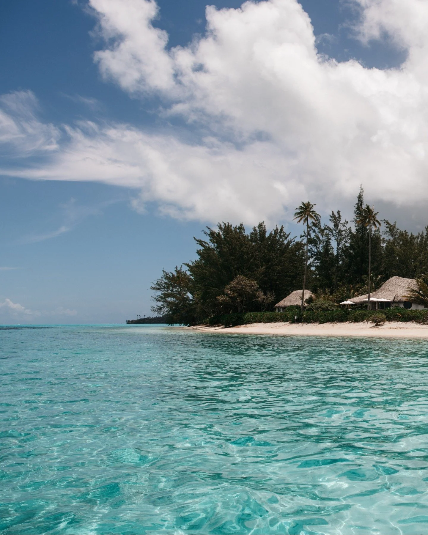 Quiet mornings, ocean breeze, island ease.

Photo credit : @tinihau.b

#island #frenchpolynesia #raiatea