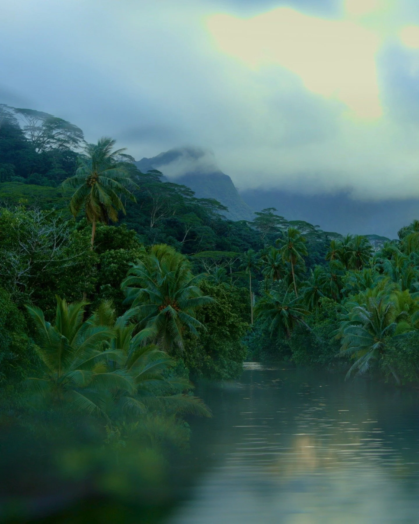 Here, time feels older, slower. As if the island itself were dreaming.

#island #frenchpolynesia #raiatea