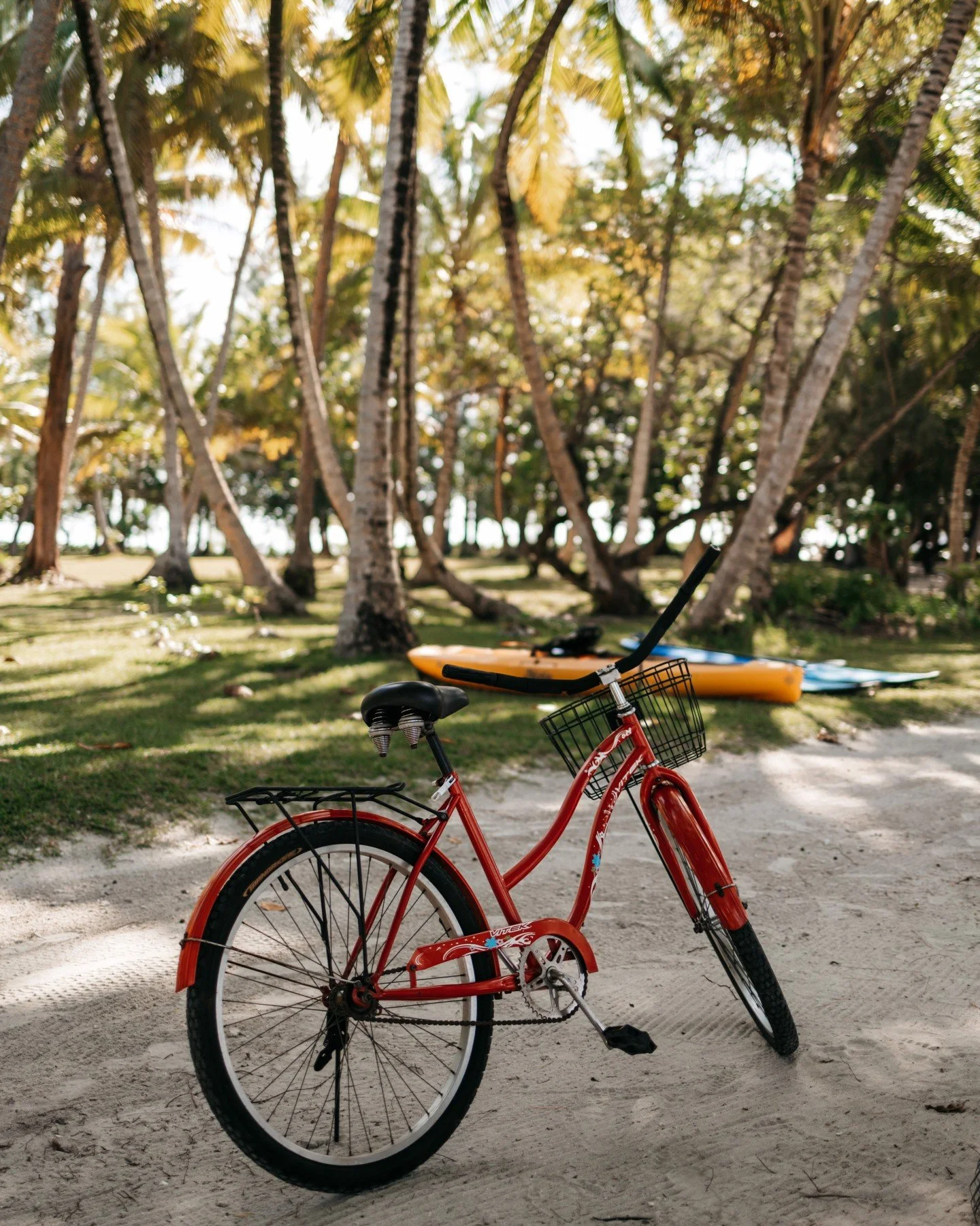 Earth beneath your feet, wind in the leaves, the island in silence.
Motu Nao Nao reveals itself slowly, with respect and wonder.

#island #frenchpolynesia #raiatea