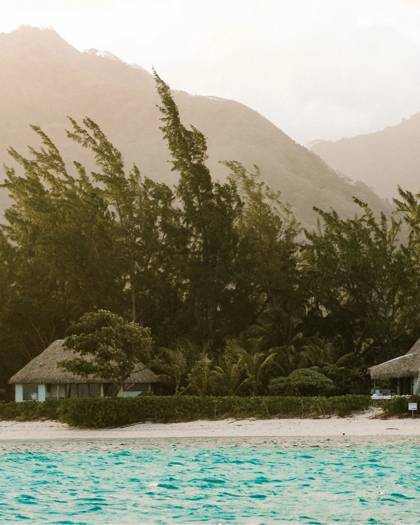 Where the island breathes slowly, and time forgets its own rhythm.

Photo credit : @tinihau.b

#island #frenchpolynesia #raiatea
