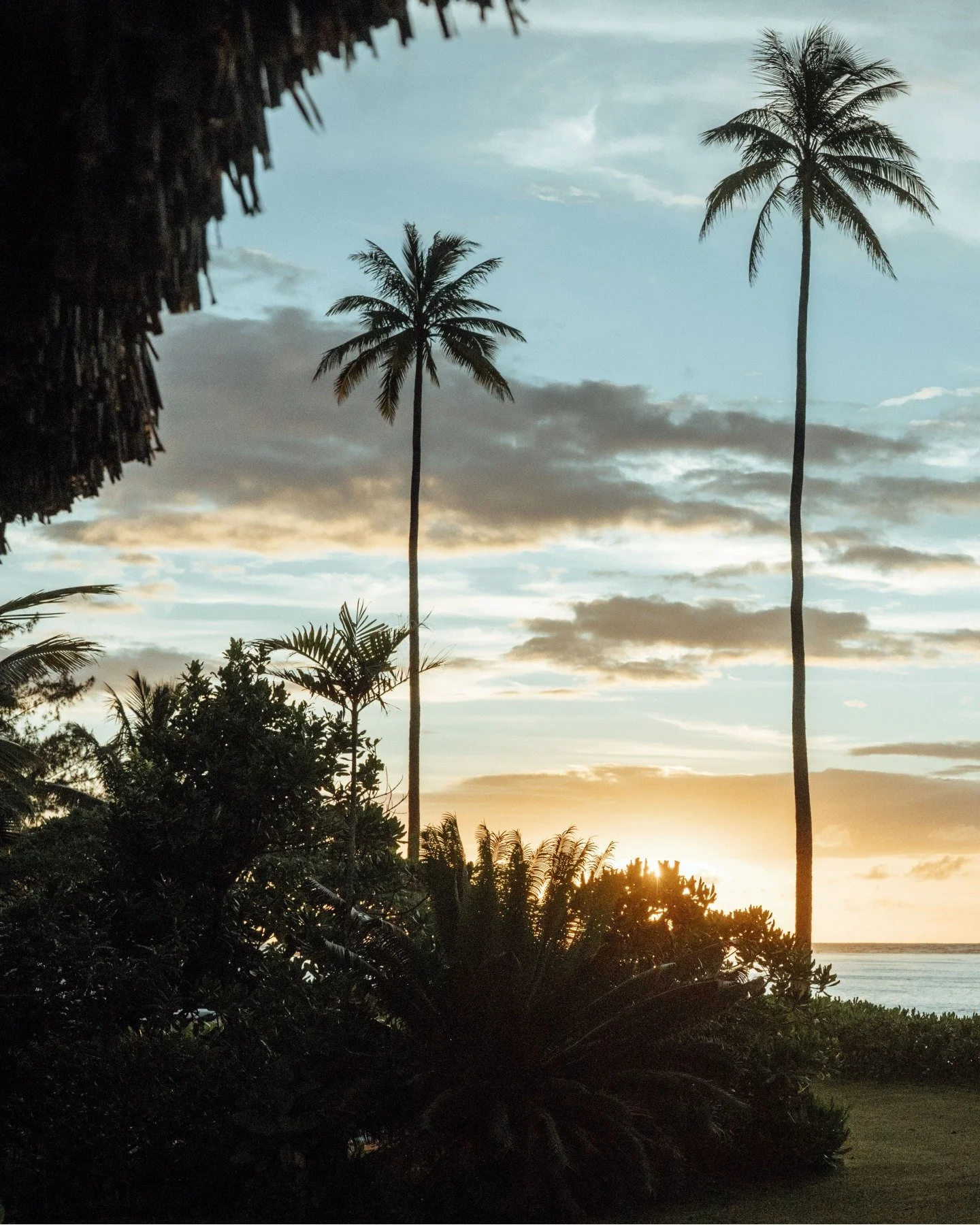 Not a retreat.
Not a reset.
Just a few days where life feels&hellip; correctly paced.

Photo credit : @tinihau.b

#island #frenchpolynesia #raiatea