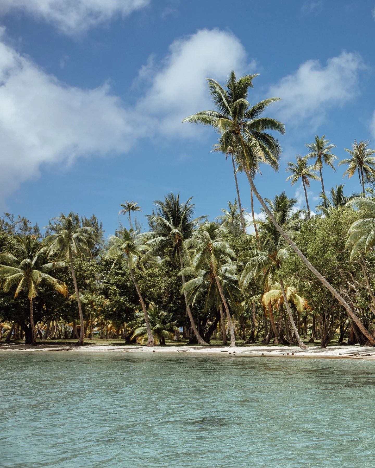 A place where the body naturally slows to the pace of the sea.

Photo credit : @tinihau.b

#island #frenchpolynesia #raiatea