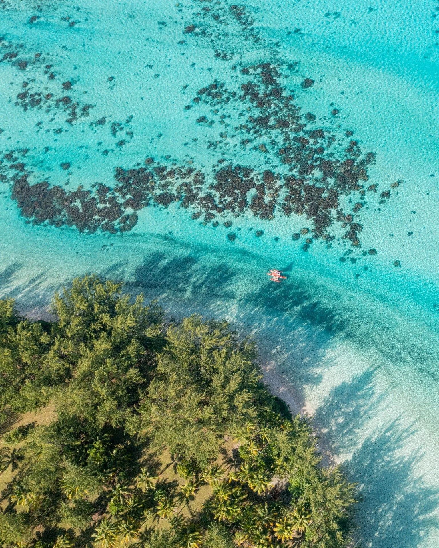 Motu Nao Nao, seen from the sky, looks exactly like a dream you forgot to wake up from.

#island #frenchpolynesia #raiatea