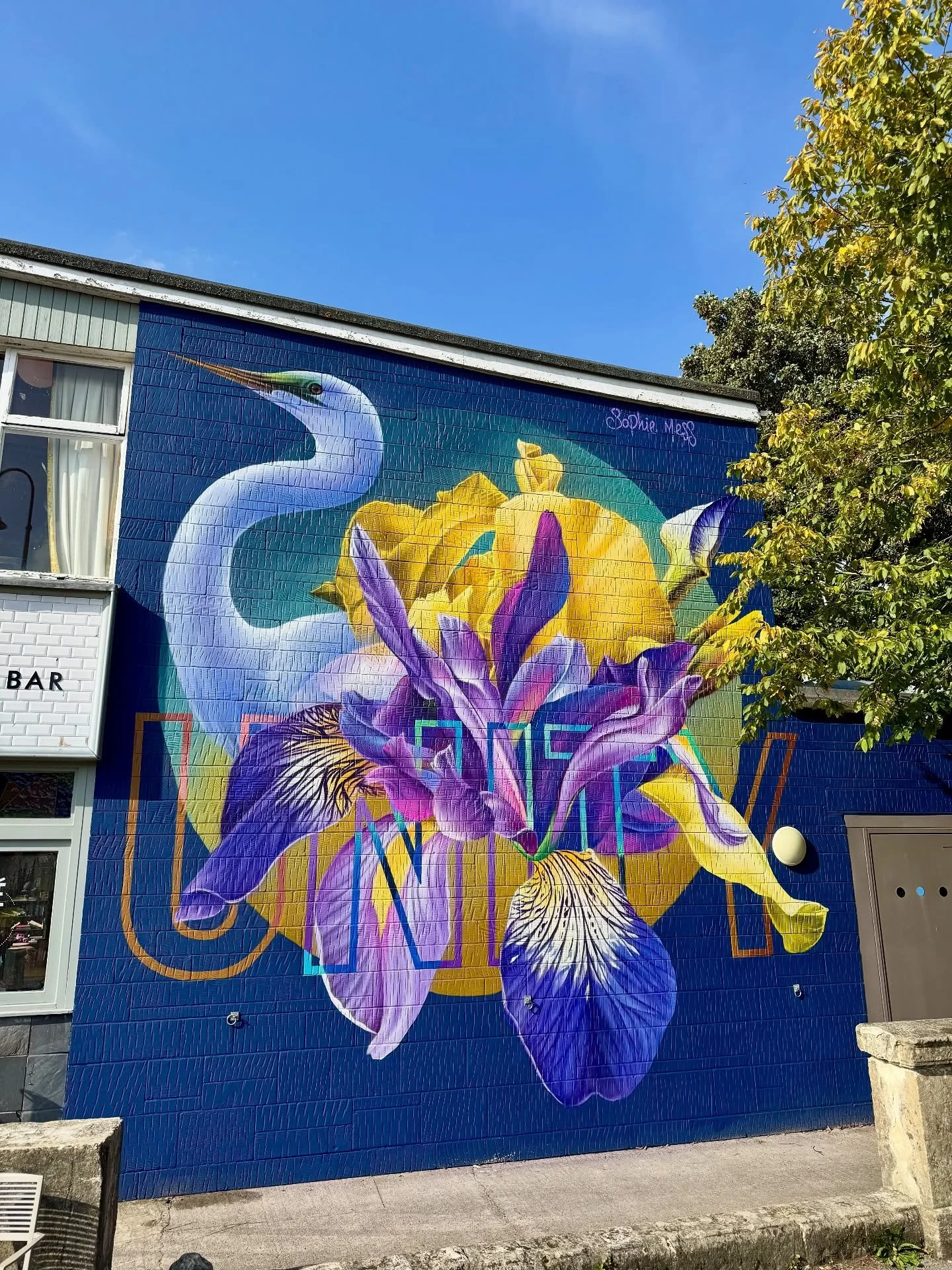 My latest mural in Chippenham, &lsquo;In Unity Beauty Unfolds&rsquo; 
When division and hate seems so loud, it is in kindness, compassion and unity that humanity flourishes 💖
Big thanks to @public_art_chippenham for having me, and the all the many l