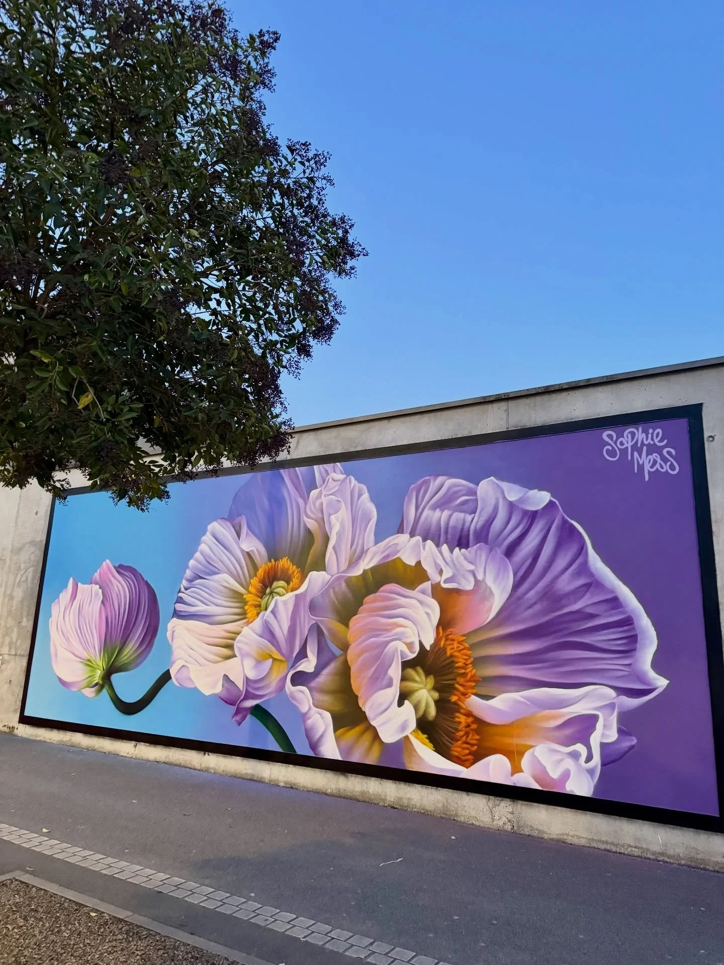Happy International Women&rsquo;s Day 💜 
This week I&rsquo;ve been in beautiful Reims, France, painting this mural &lsquo;Shared Connection&rsquo; for @lemurdereims in support of @popwomenfestival. It feels like the perfect mural to share for IWD be