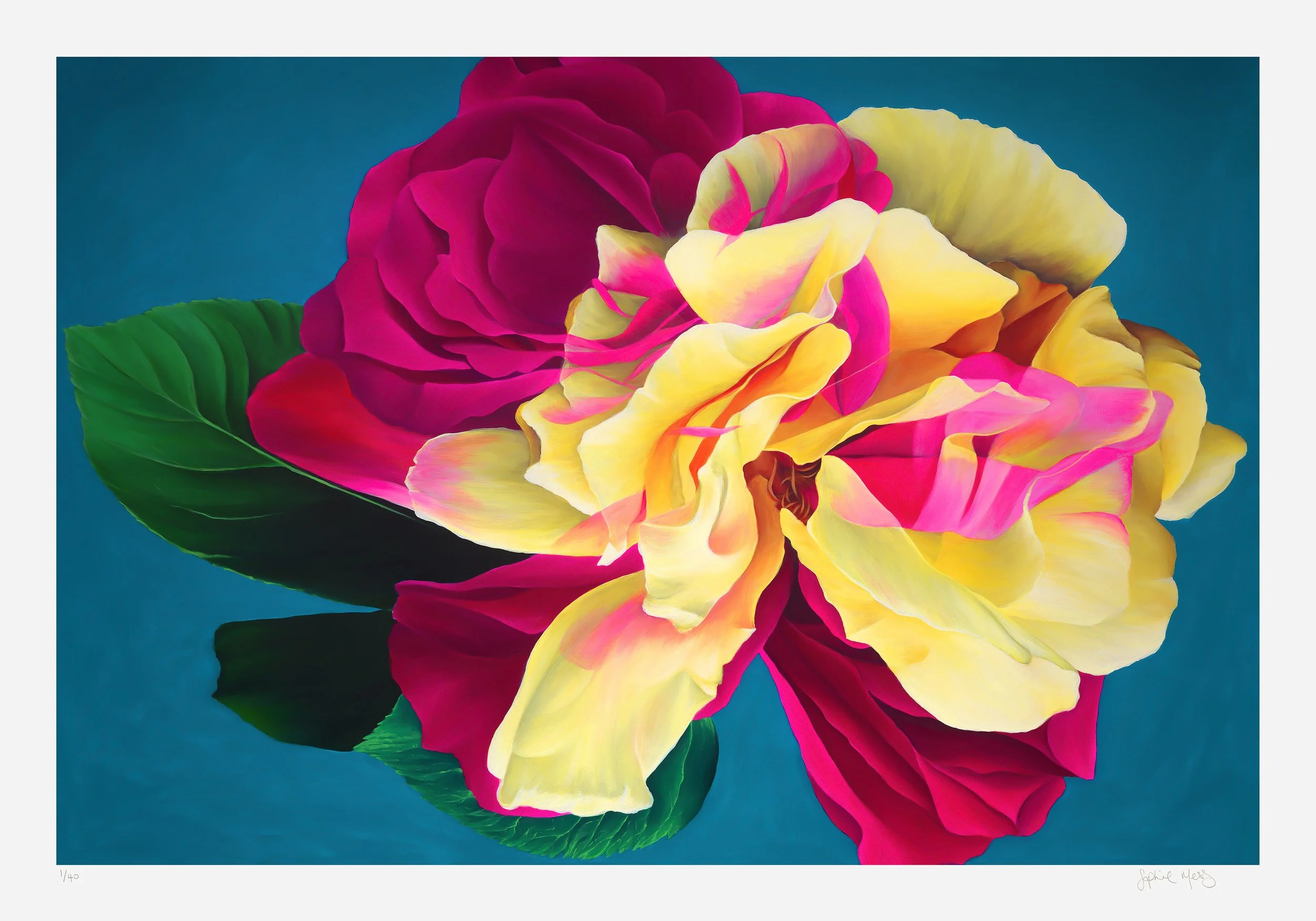 'Nebula Rose' Prints