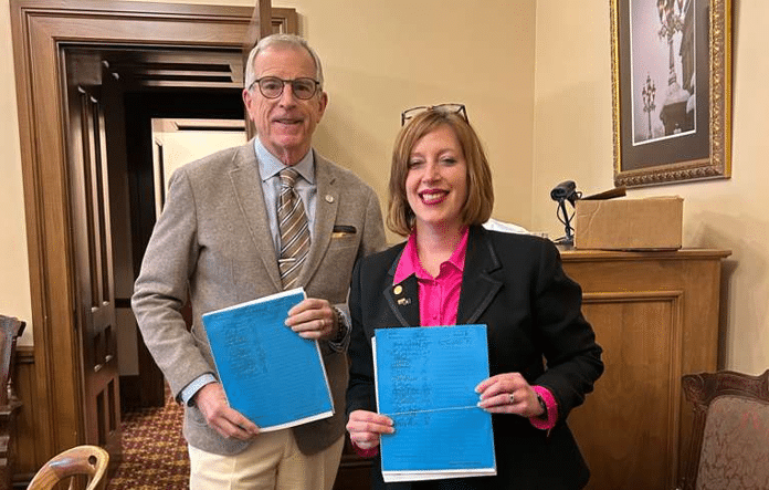 Diving deep into House Bills 5980 and 5981
