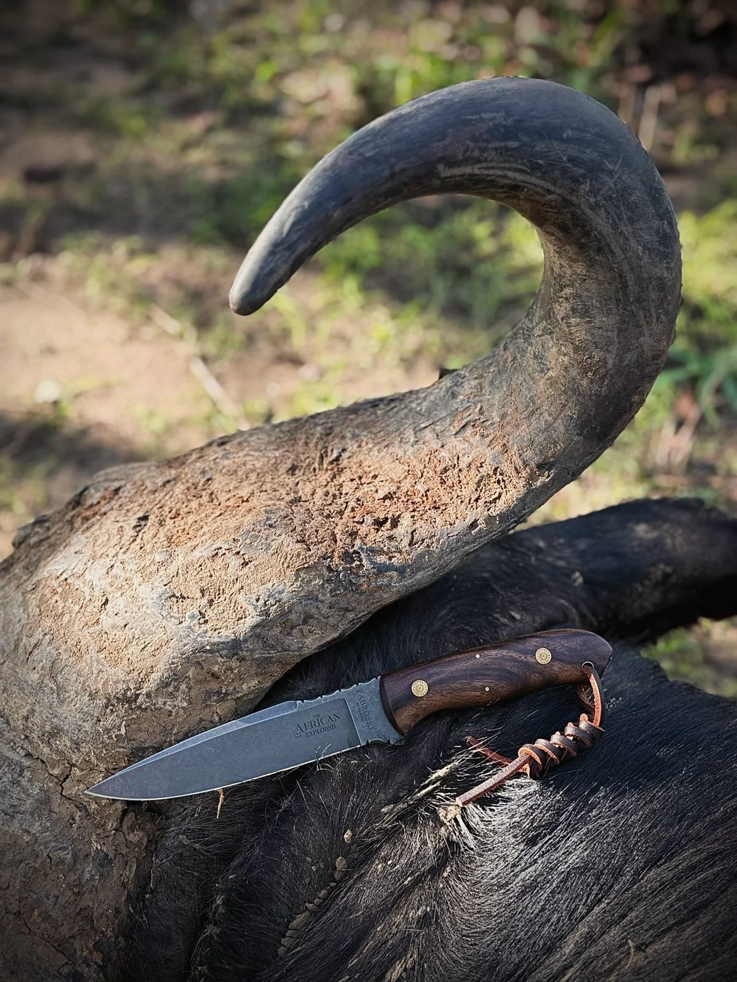 The African Explorer, exploring Africa.