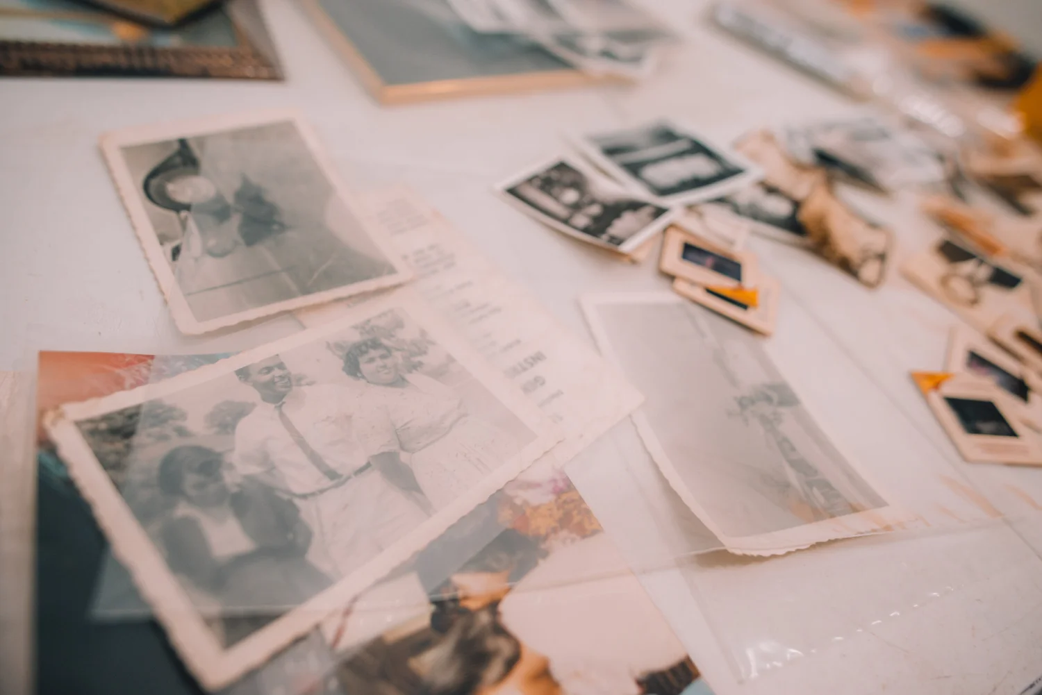 GUIDE: Personal Archiving — Build Your Archive