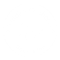 Saddles &amp; Sheets