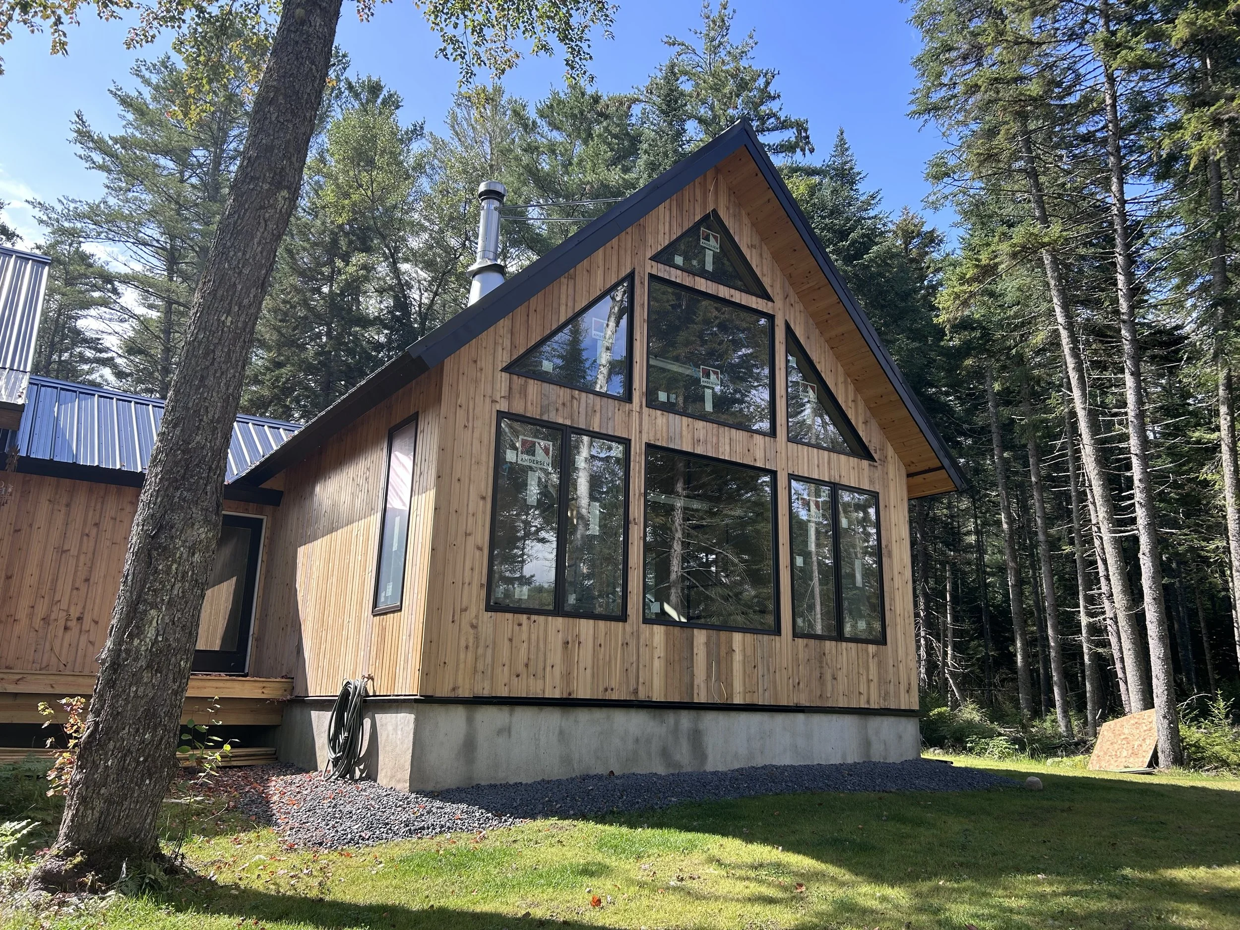 A modern house with large glass windows surrounded by tall evergreen trees, in a forested area, with a blue sky overhead.