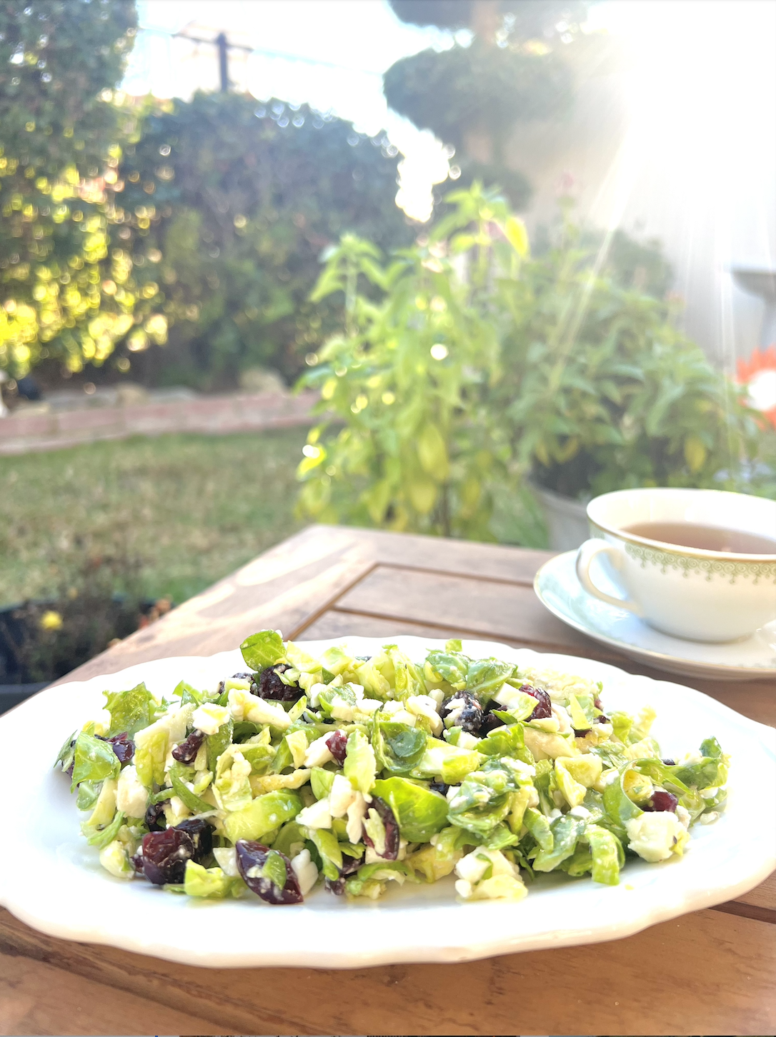 Brussels Sprout and Cranberry Salad