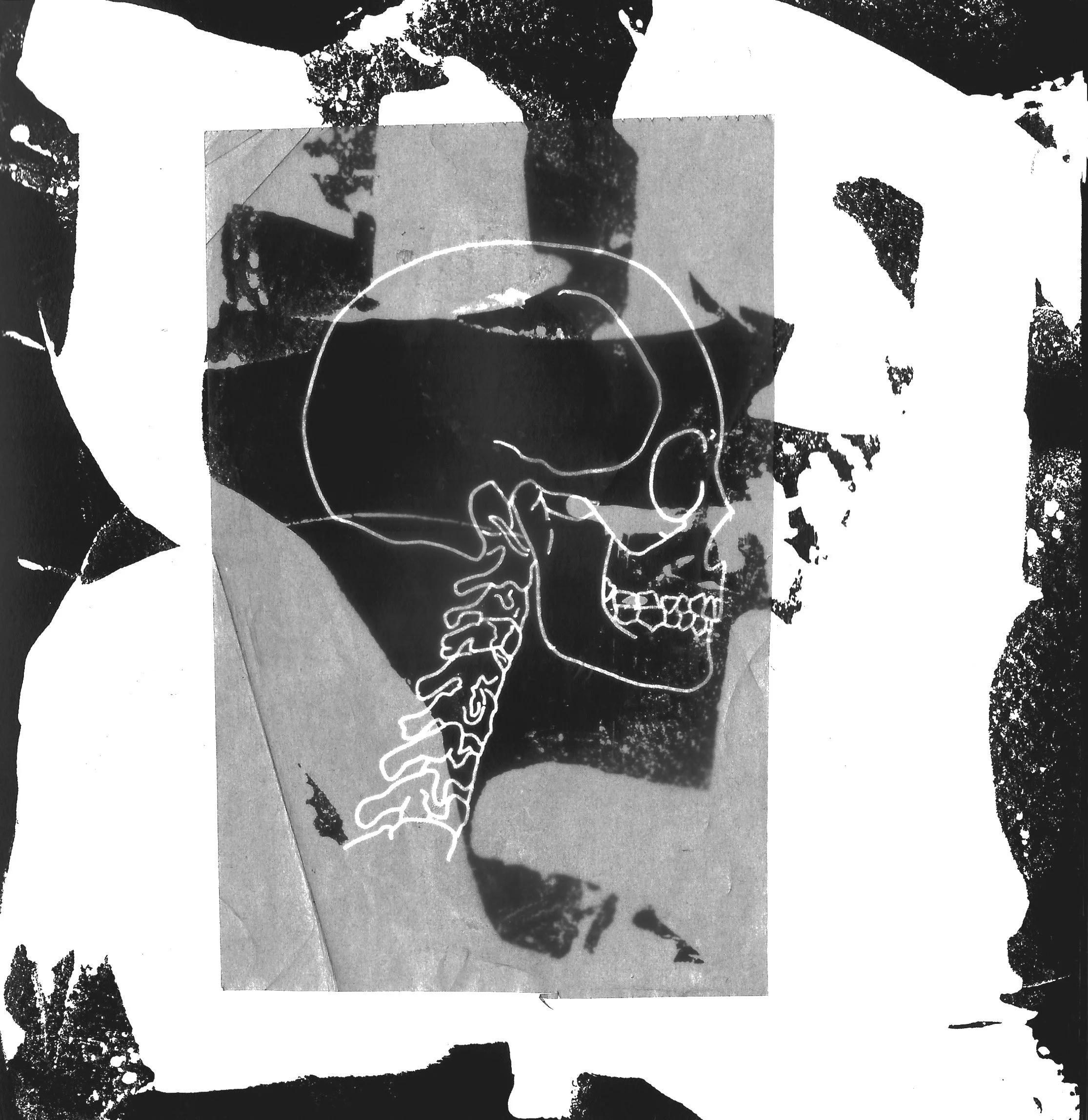 abstraction skull 2.jpg