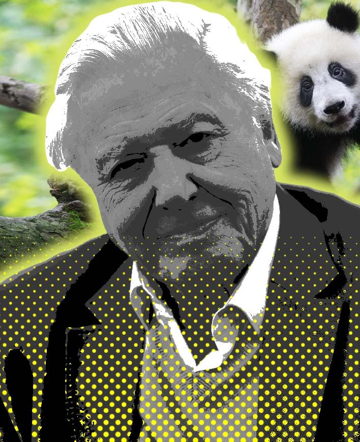 sir david 2026.jpg