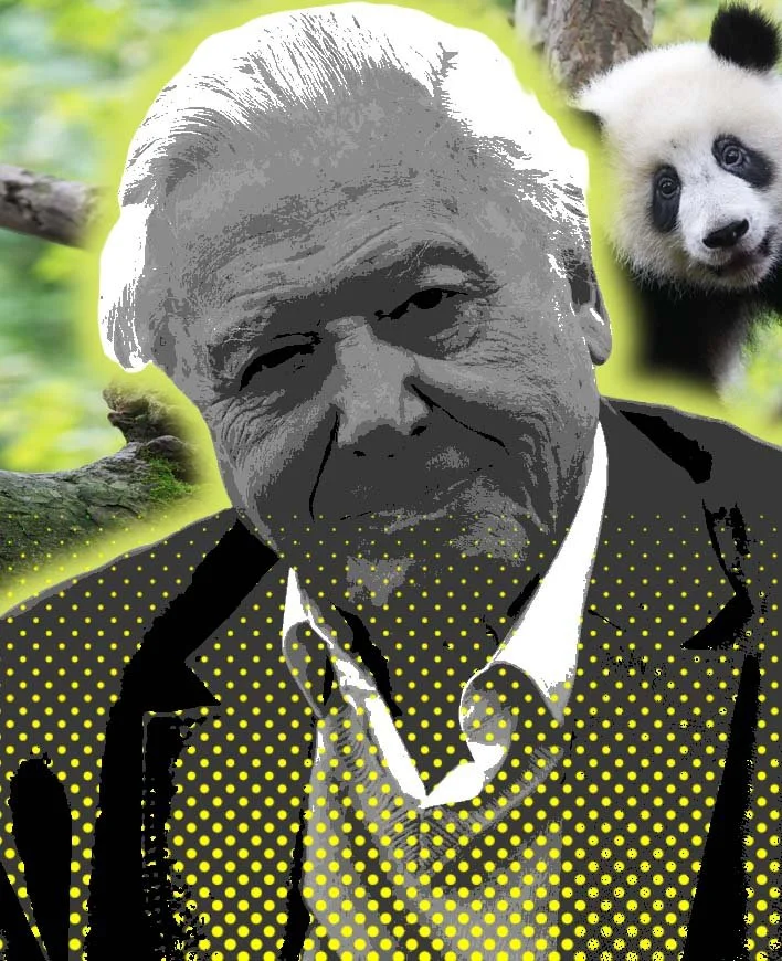 sir david 2026.jpg
