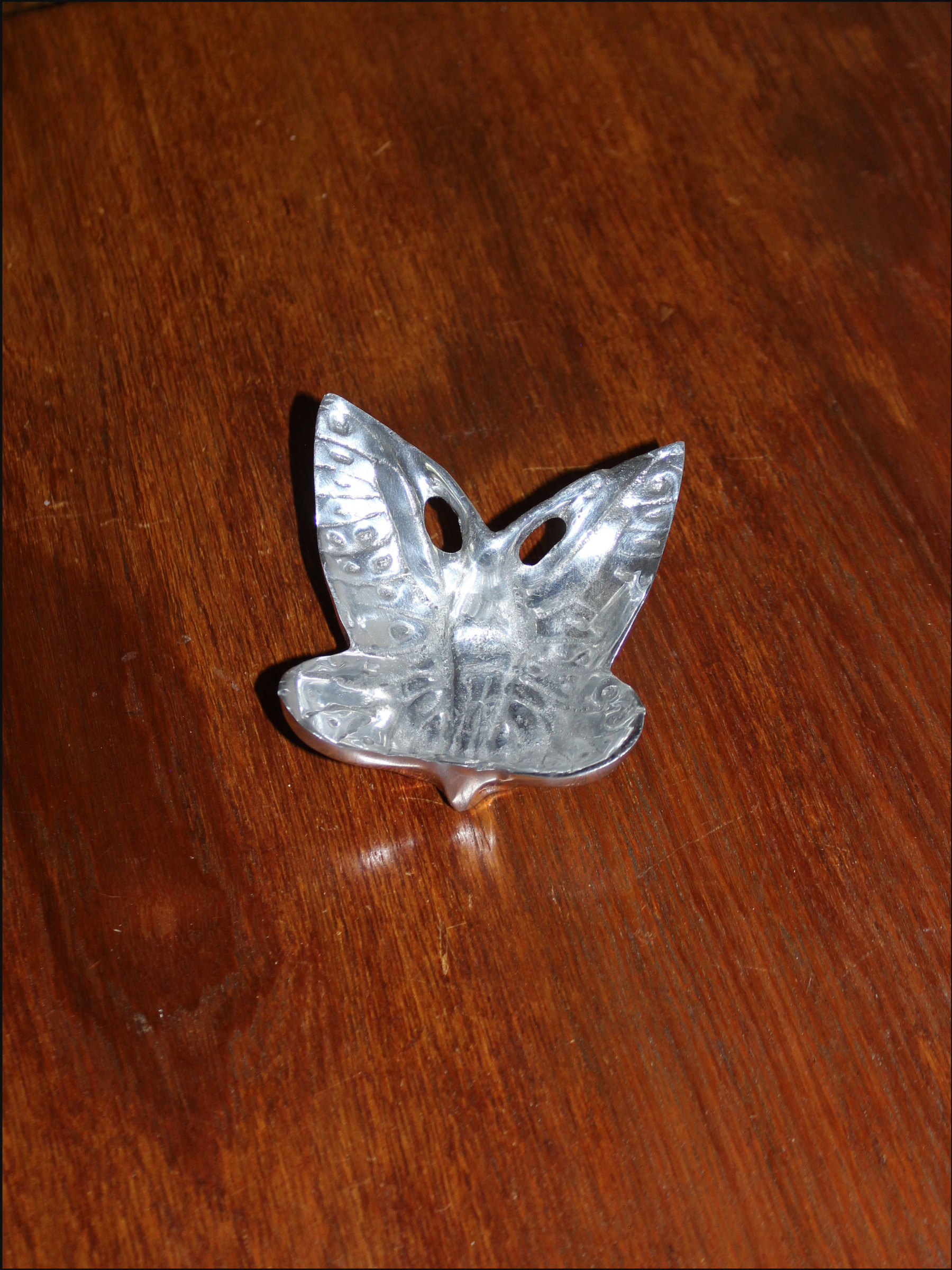 butterfly cover.png