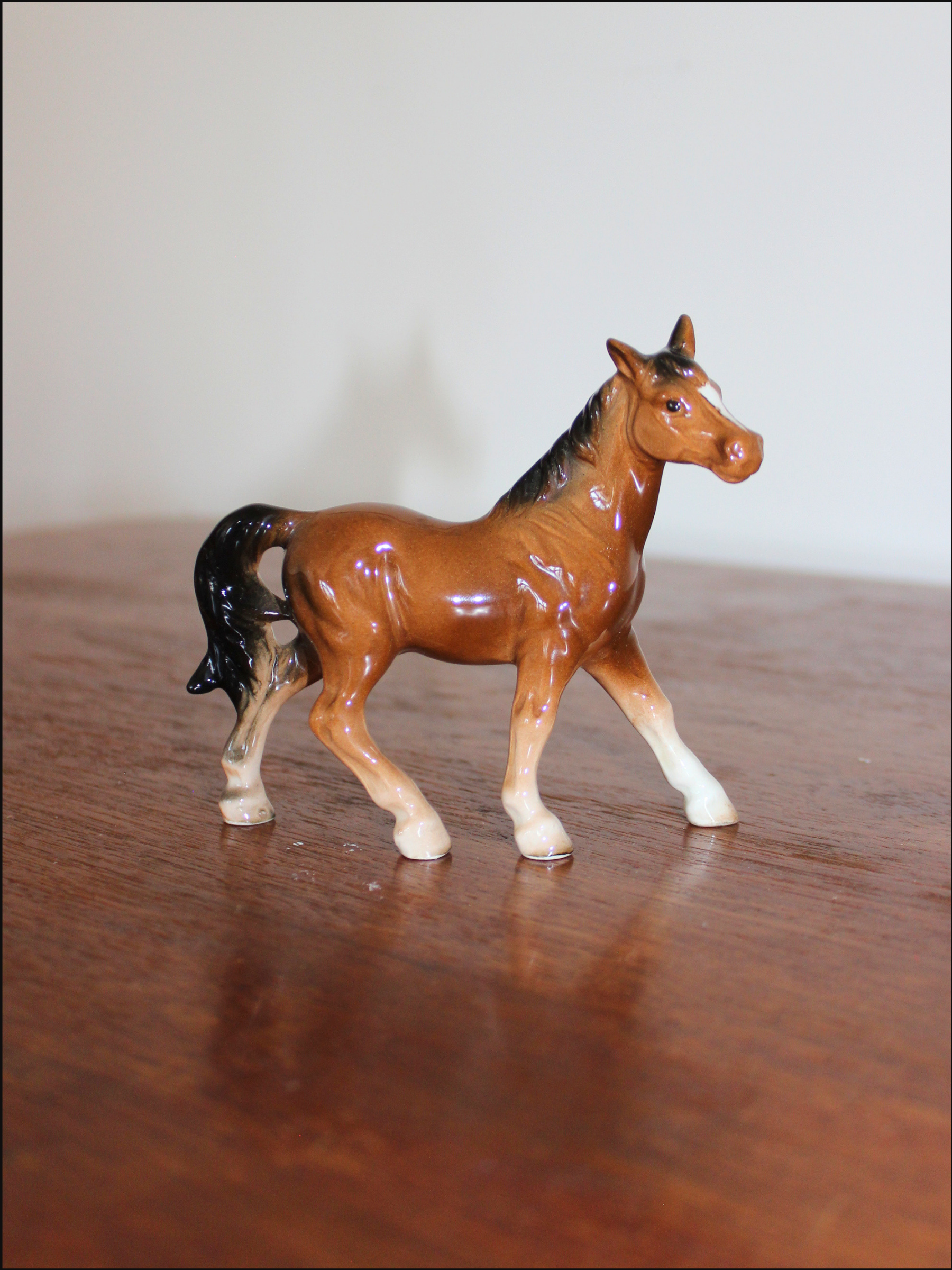 standing horse cover (2).png