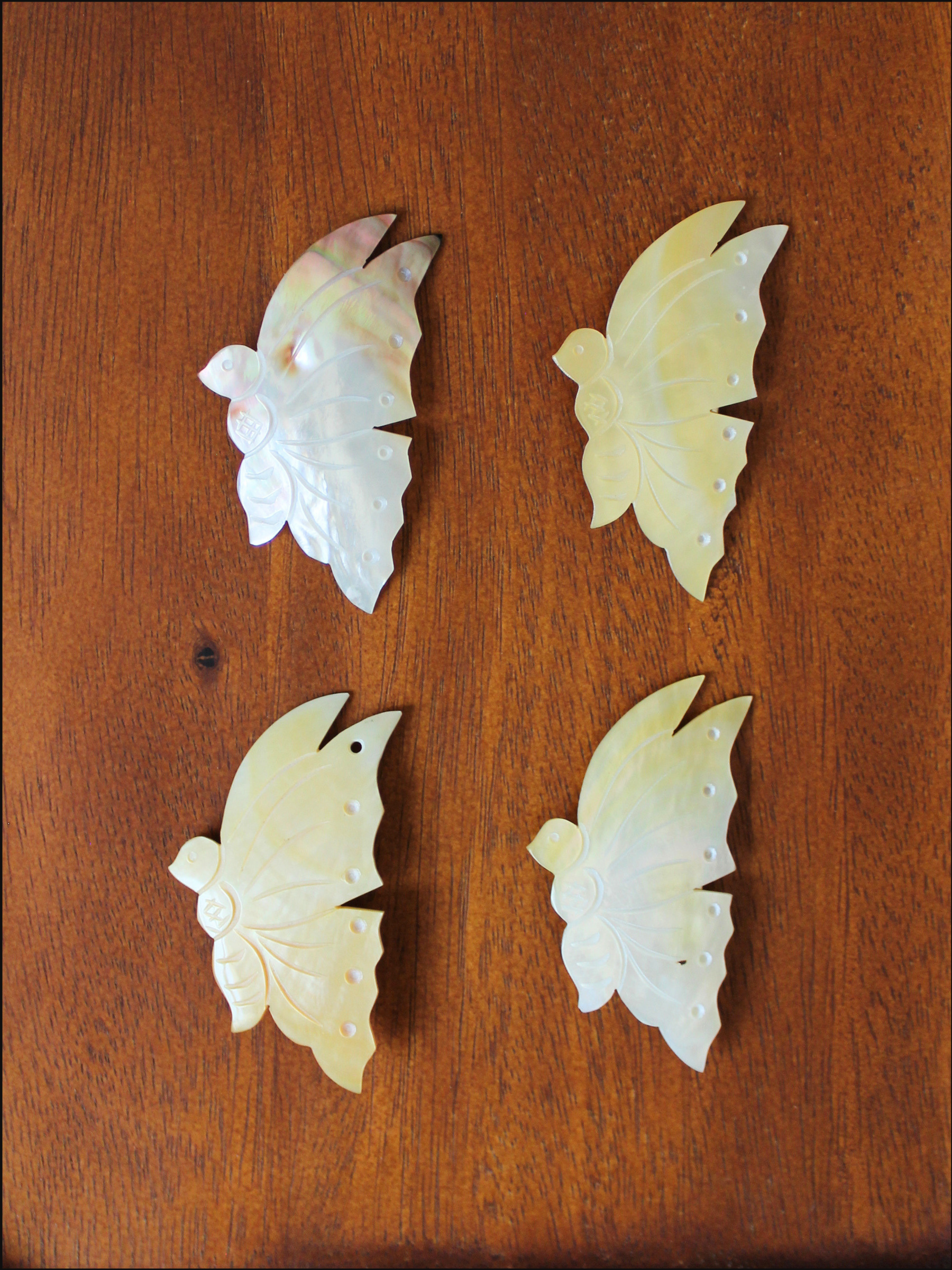butterfly pins cover (2).png