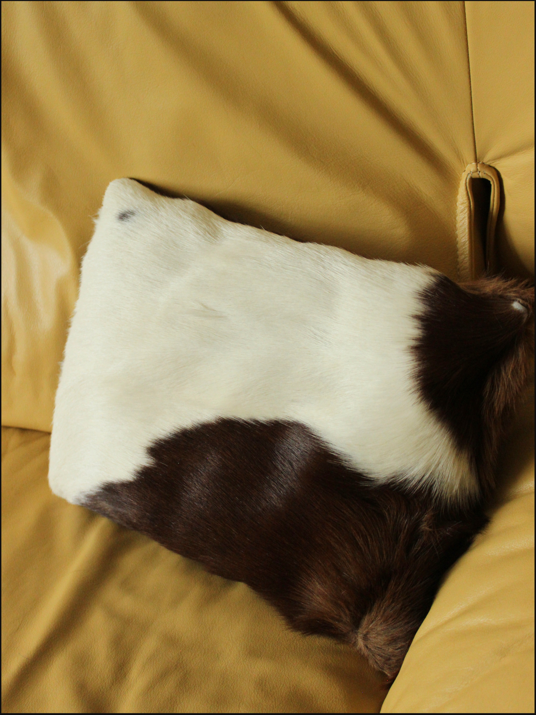 fur pillow cover (2).png