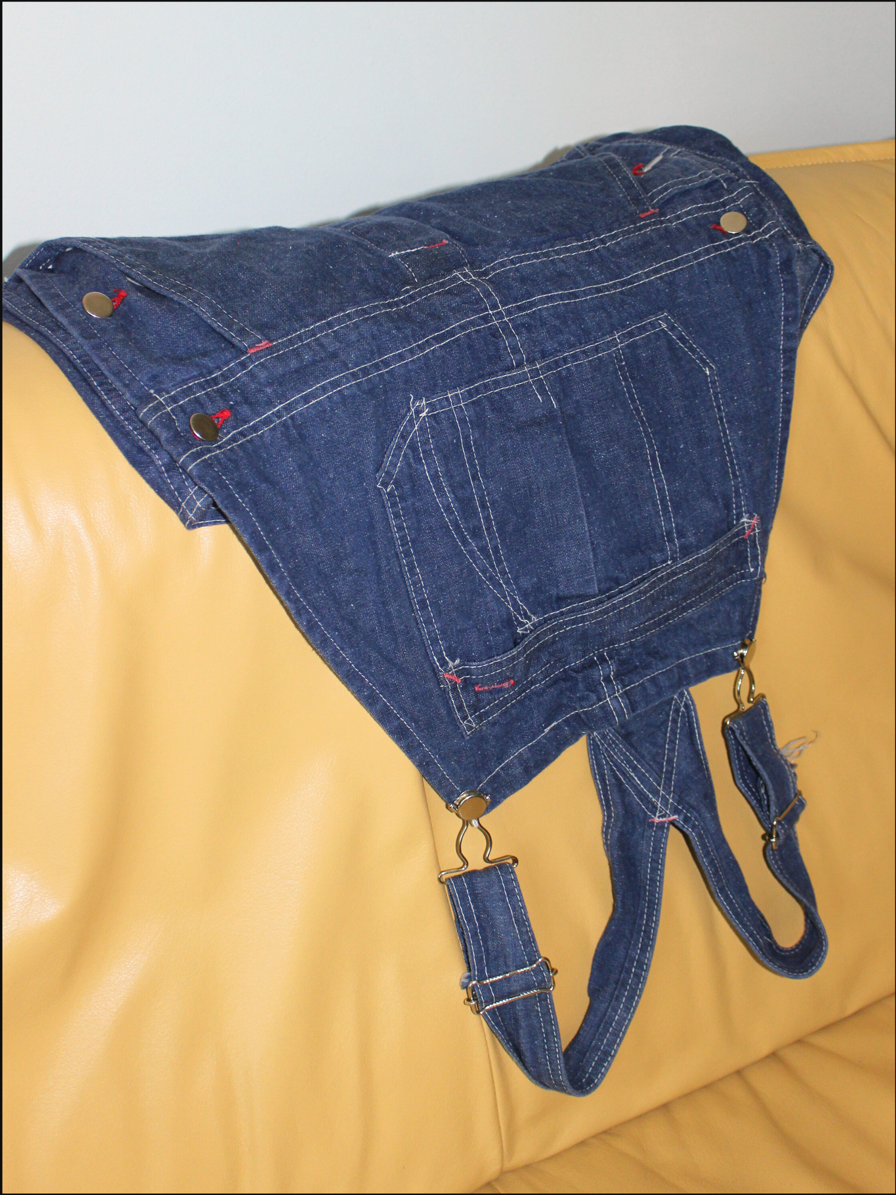 sears overalls cover.png