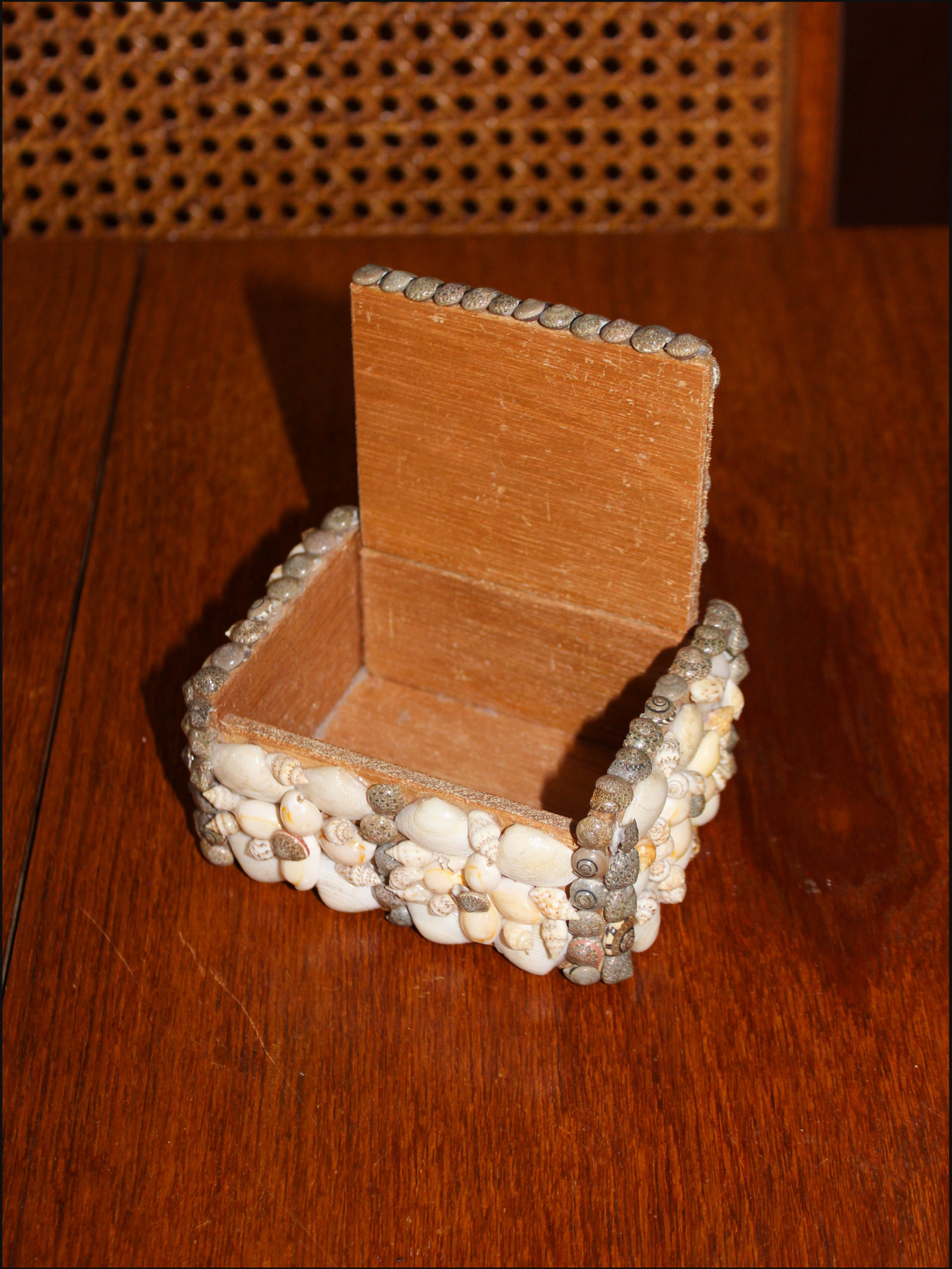 shell box cover (5).png