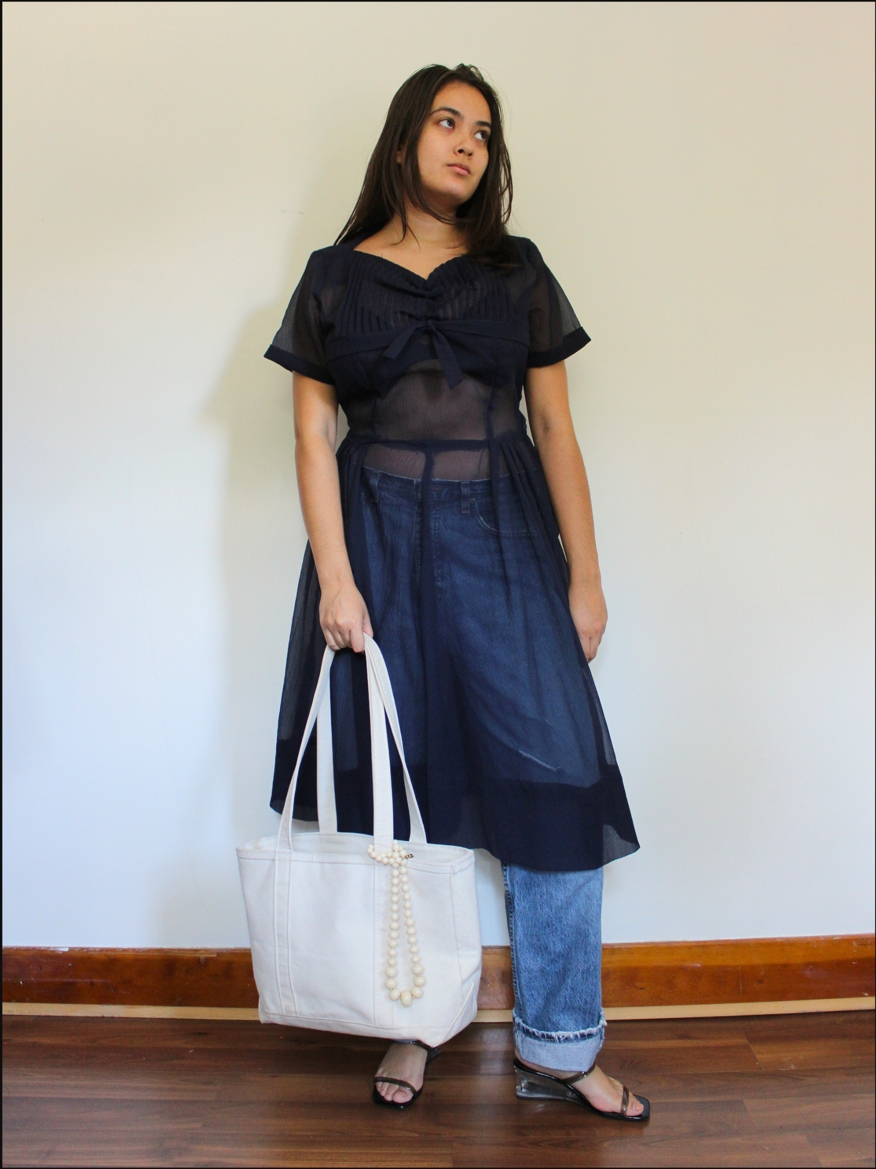 sheer dress cover.png